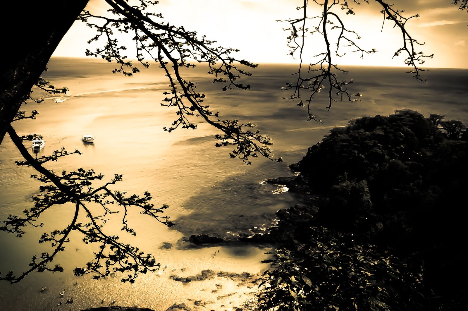 Nikon D5000 sample photo. Night, island, fernando photography