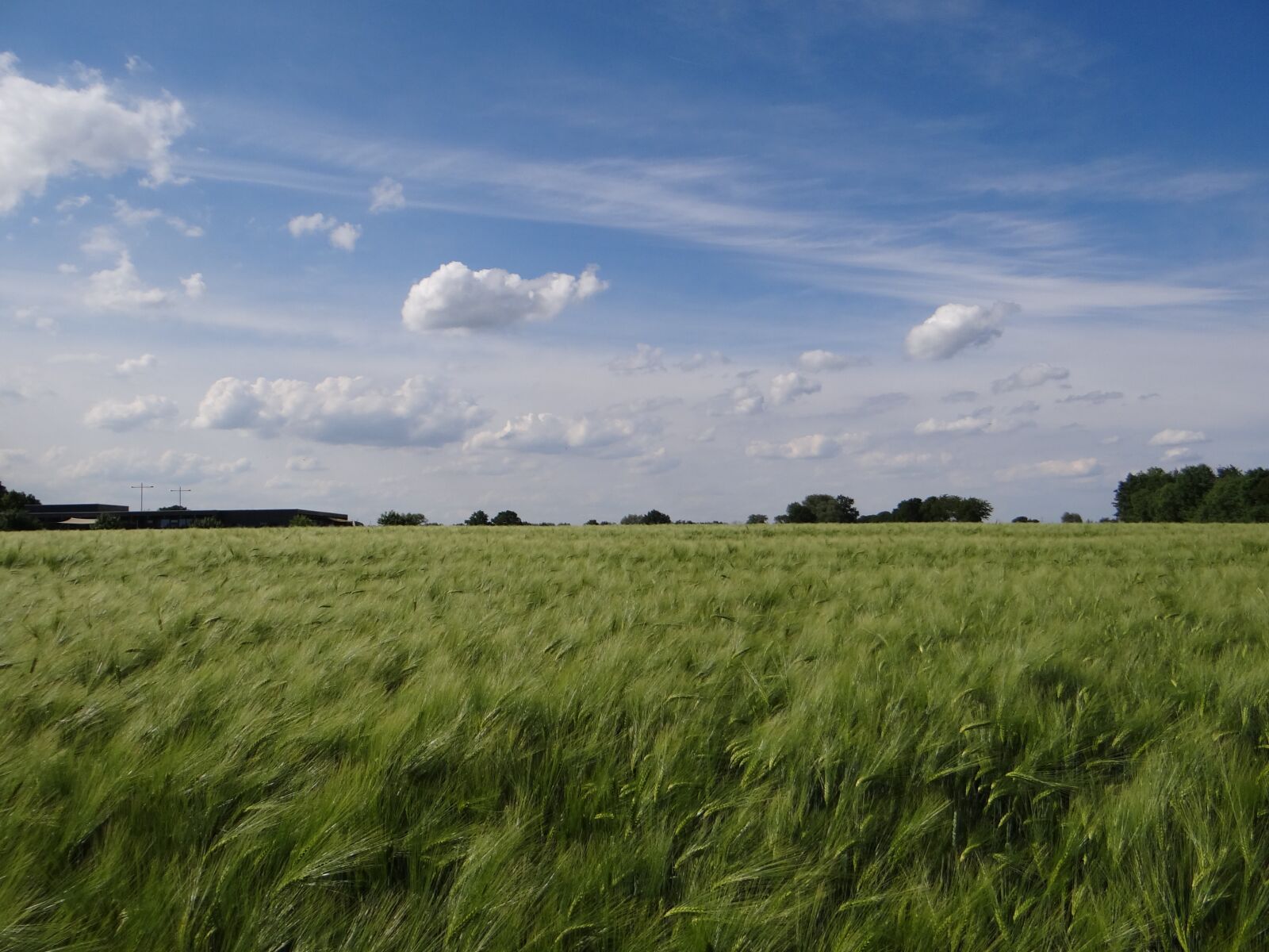 Sony Cyber-shot DSC-HX100V sample photo. Nature, field, sky photography
