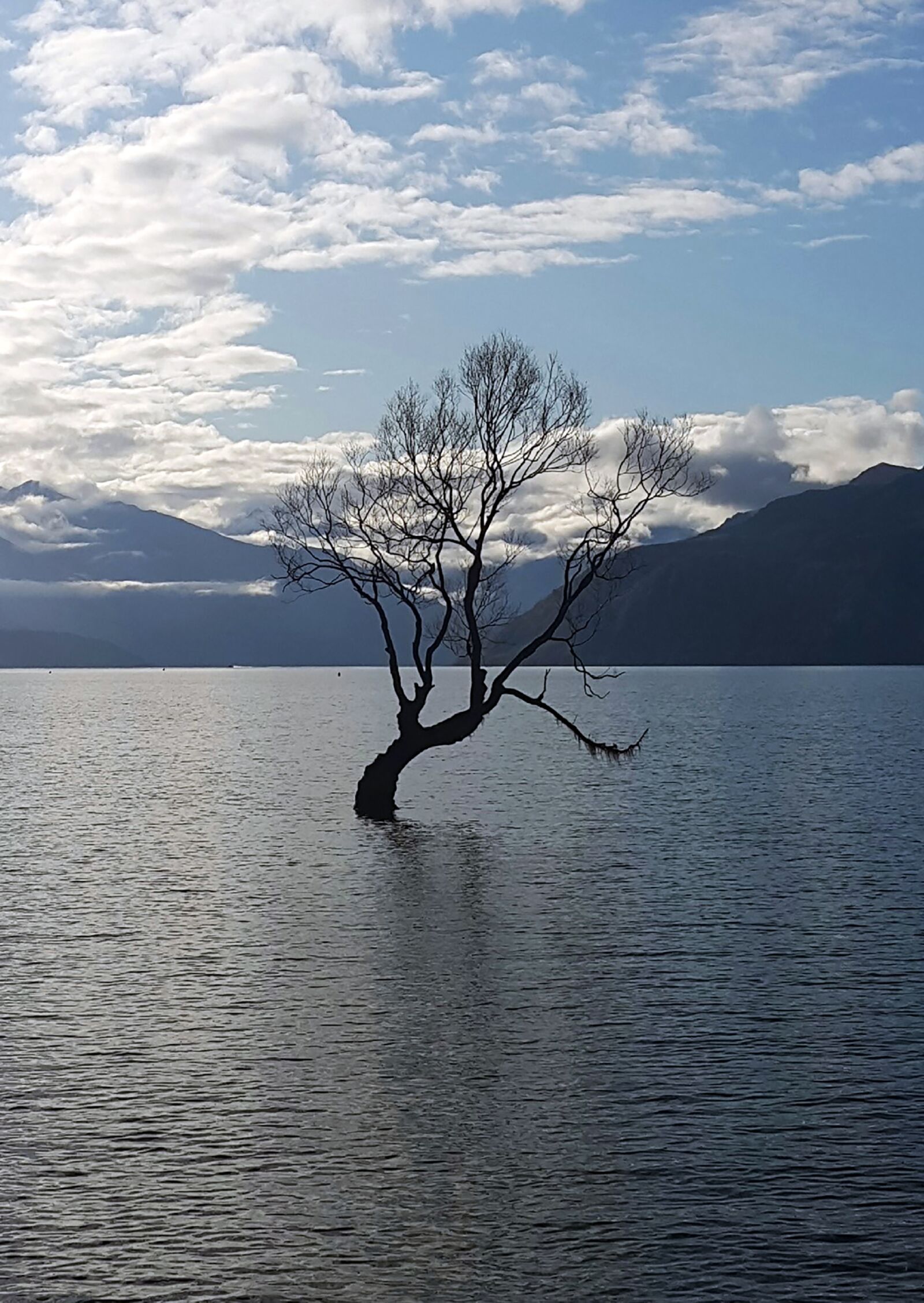 Samsung Galaxy Note4 sample photo. Wanaka, tree, lake photography