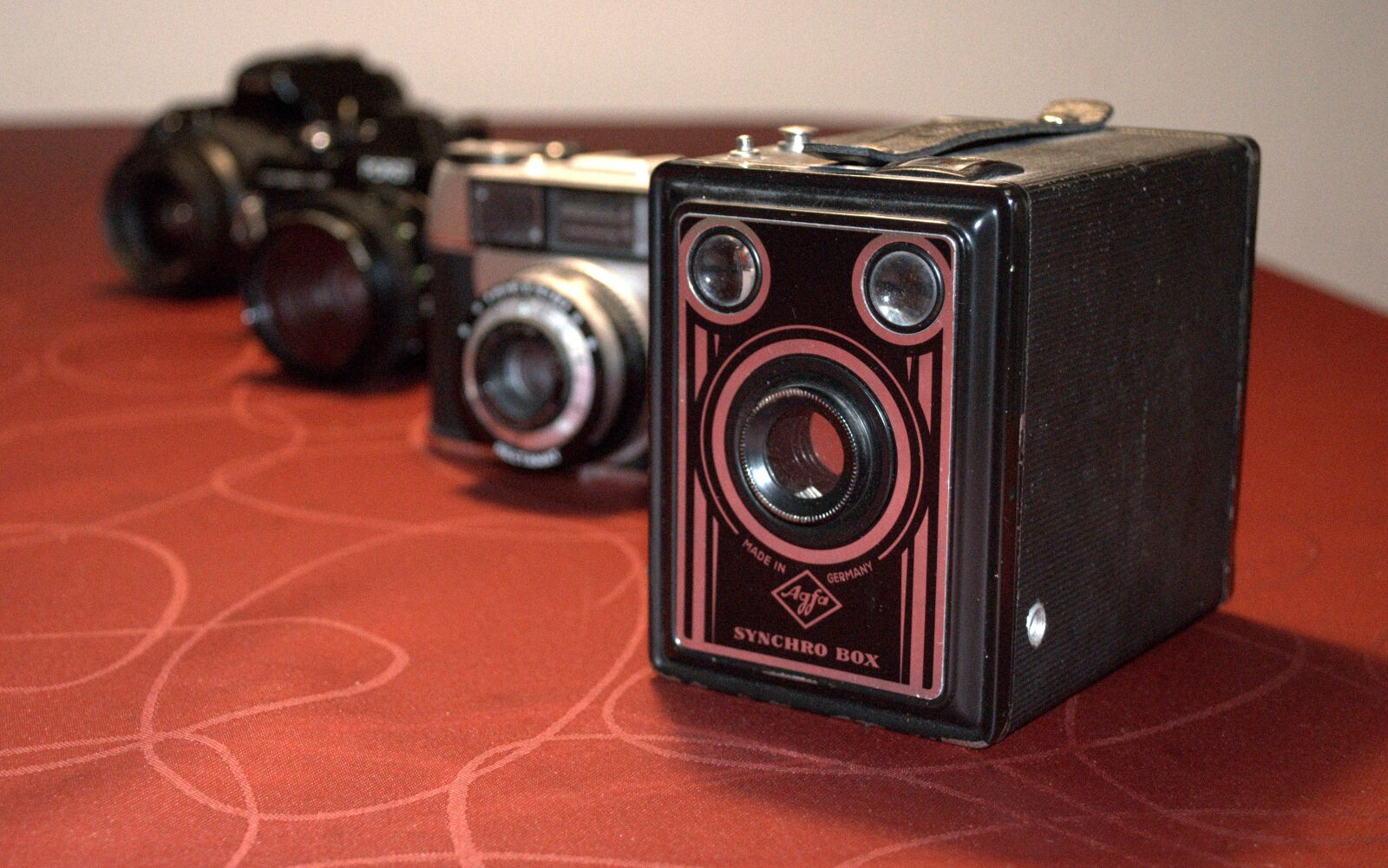 Nikon D5100 sample photo. Photo, photography, lens photography