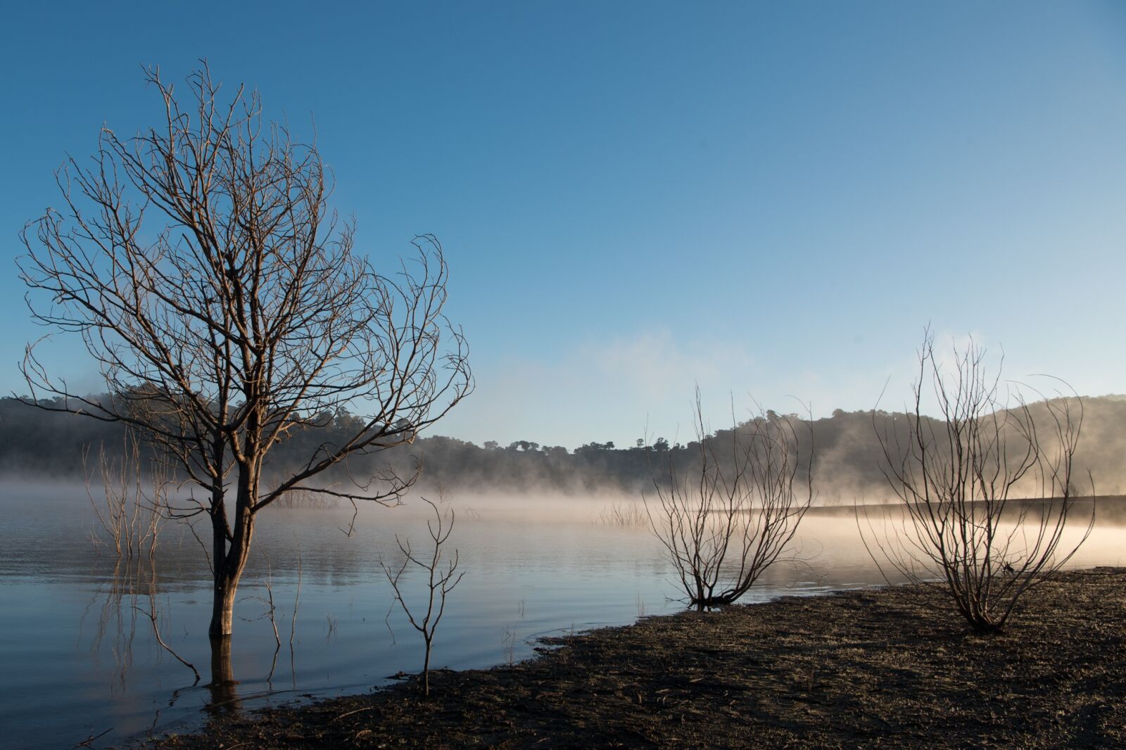 Nikon D750 sample photo. Fog, lake, calm photography