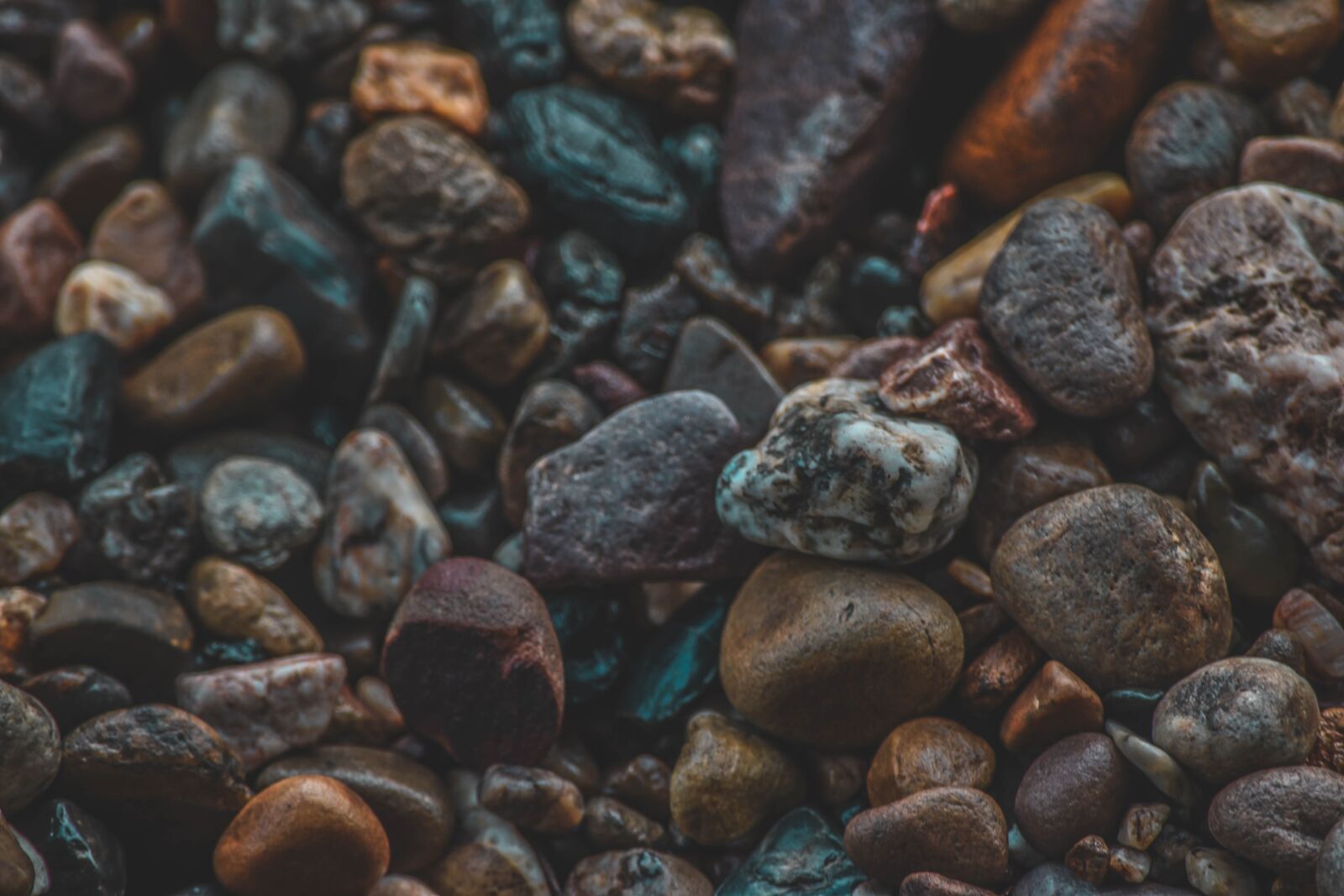 Nikon D5500 sample photo. Stones, wet, bo photography