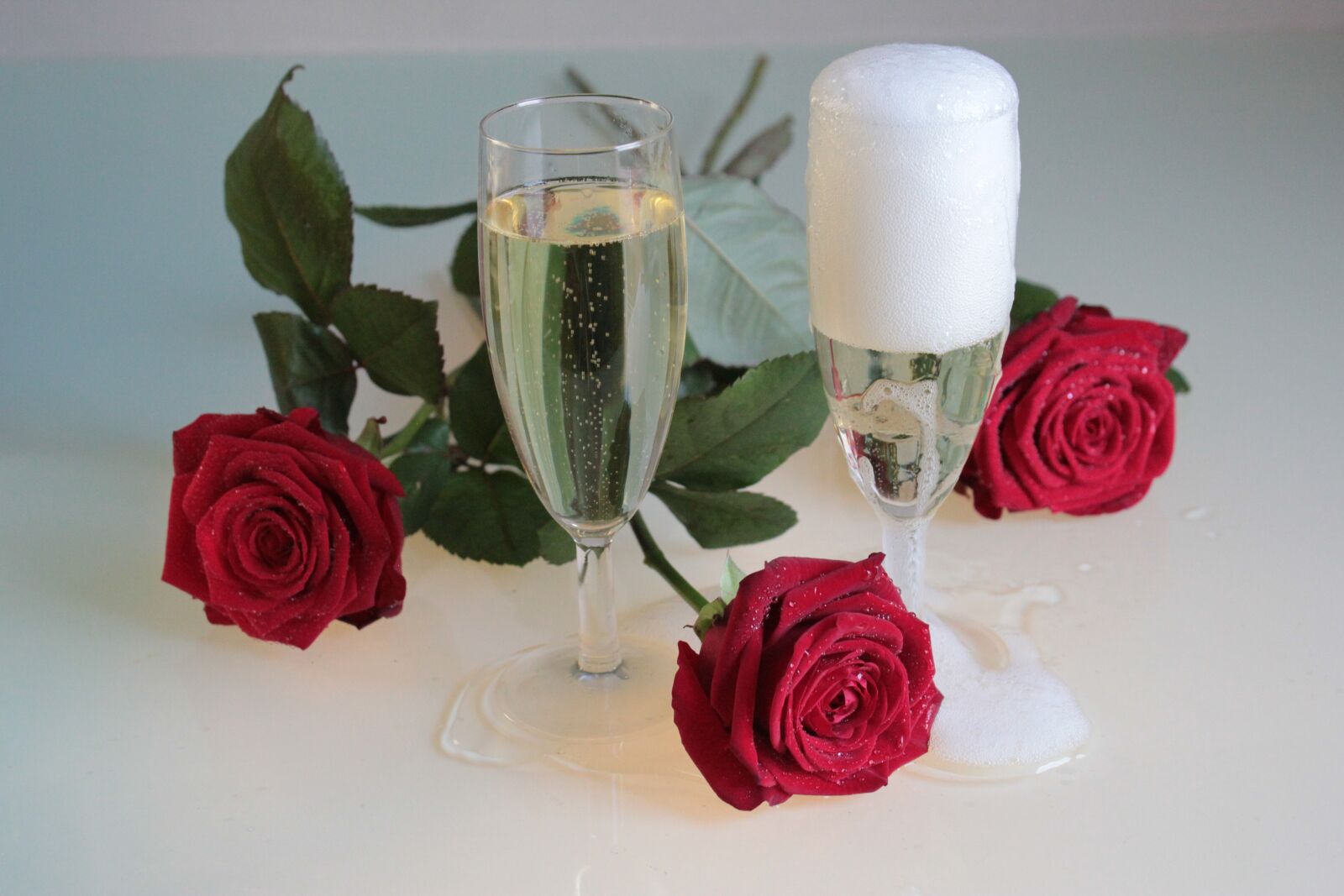 Canon EOS 550D (EOS Rebel T2i / EOS Kiss X4) sample photo. Roses, champagne, drink photography