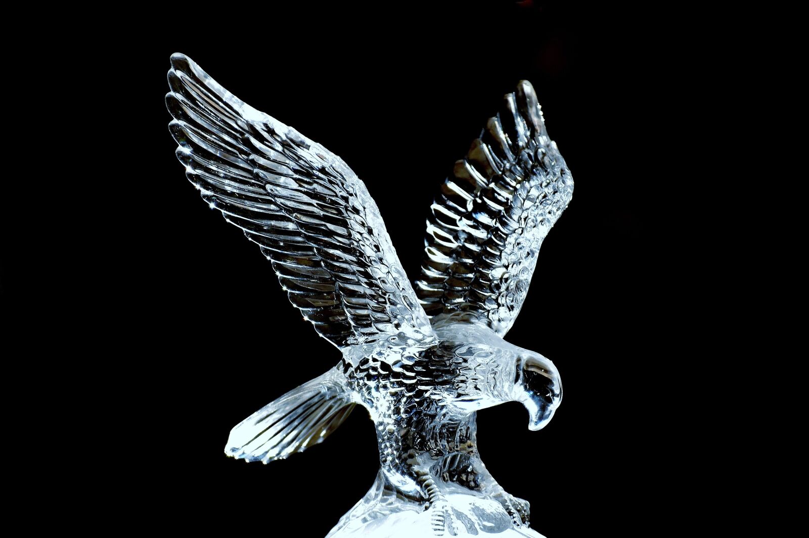 Nikon D7200 sample photo. Adler, glass, sculpture photography