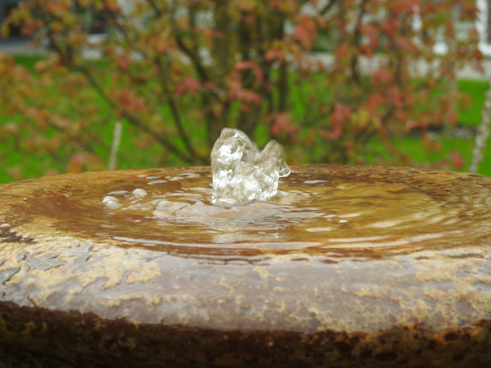 Nikon Coolpix P900 sample photo. Fountain, water, well water photography