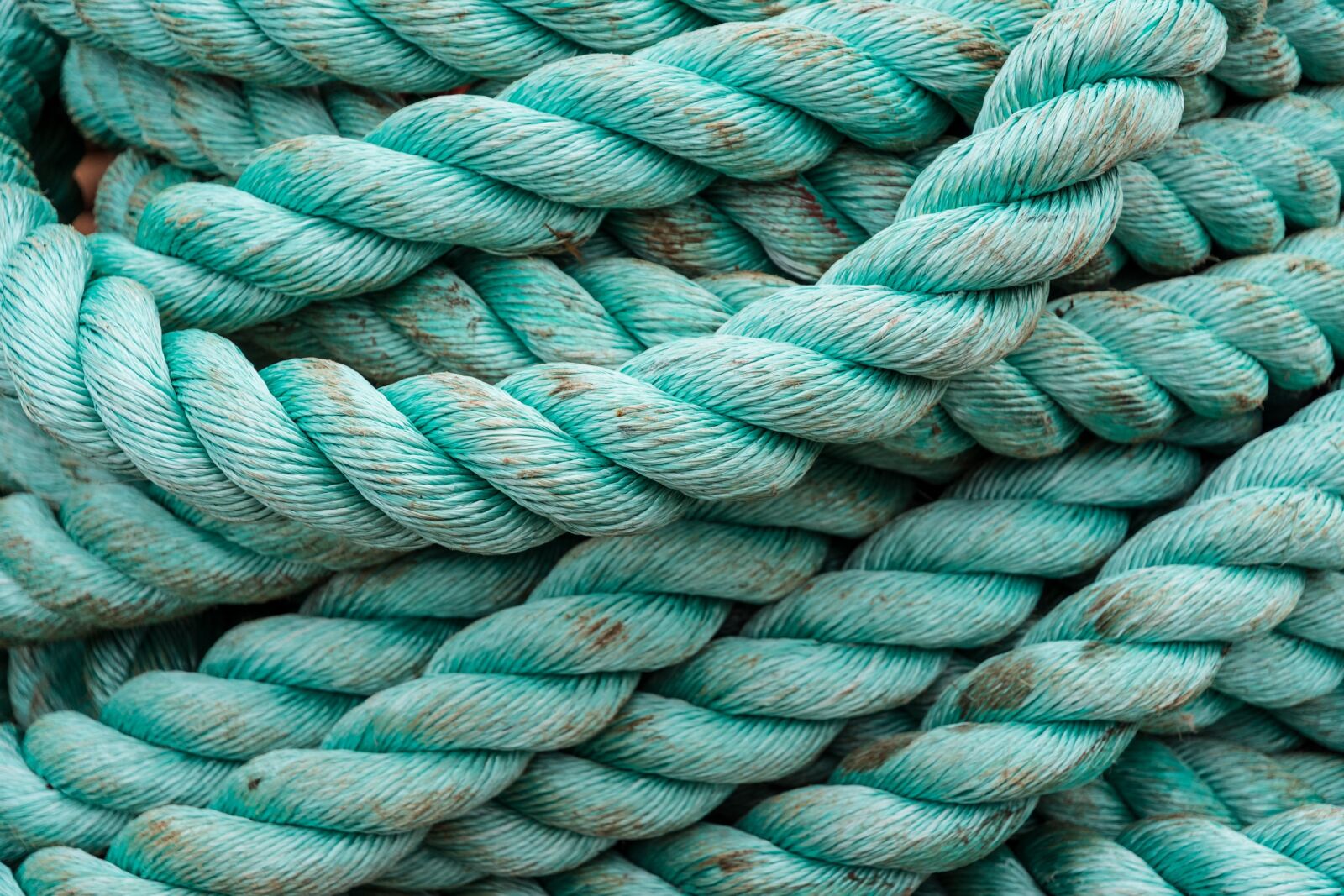 Nikon D7200 sample photo. Rope, green, synthetic photography