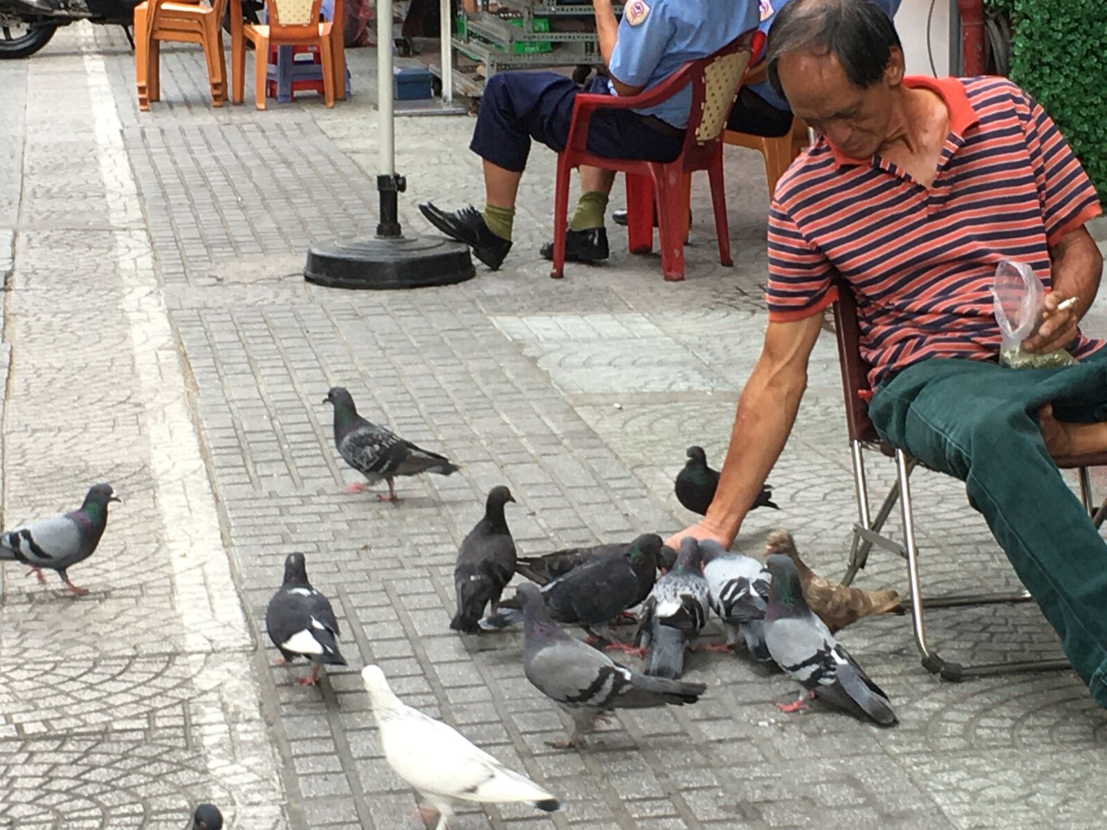 Apple iPhone 6s sample photo. Peaceful, saigon, dove photography