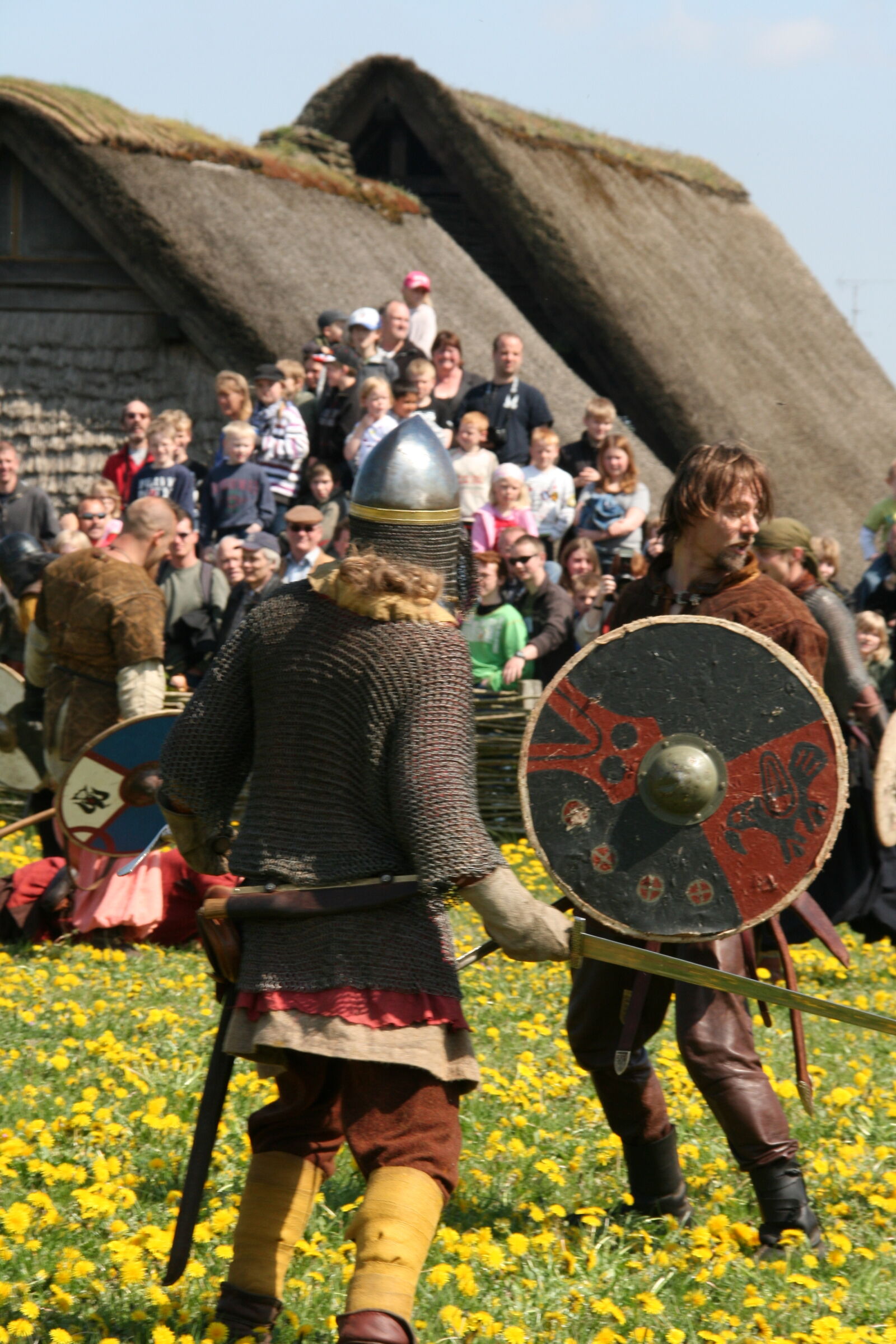 Sigma 18-200mm f/3.5-6.3 DC OS sample photo. Vikings photography