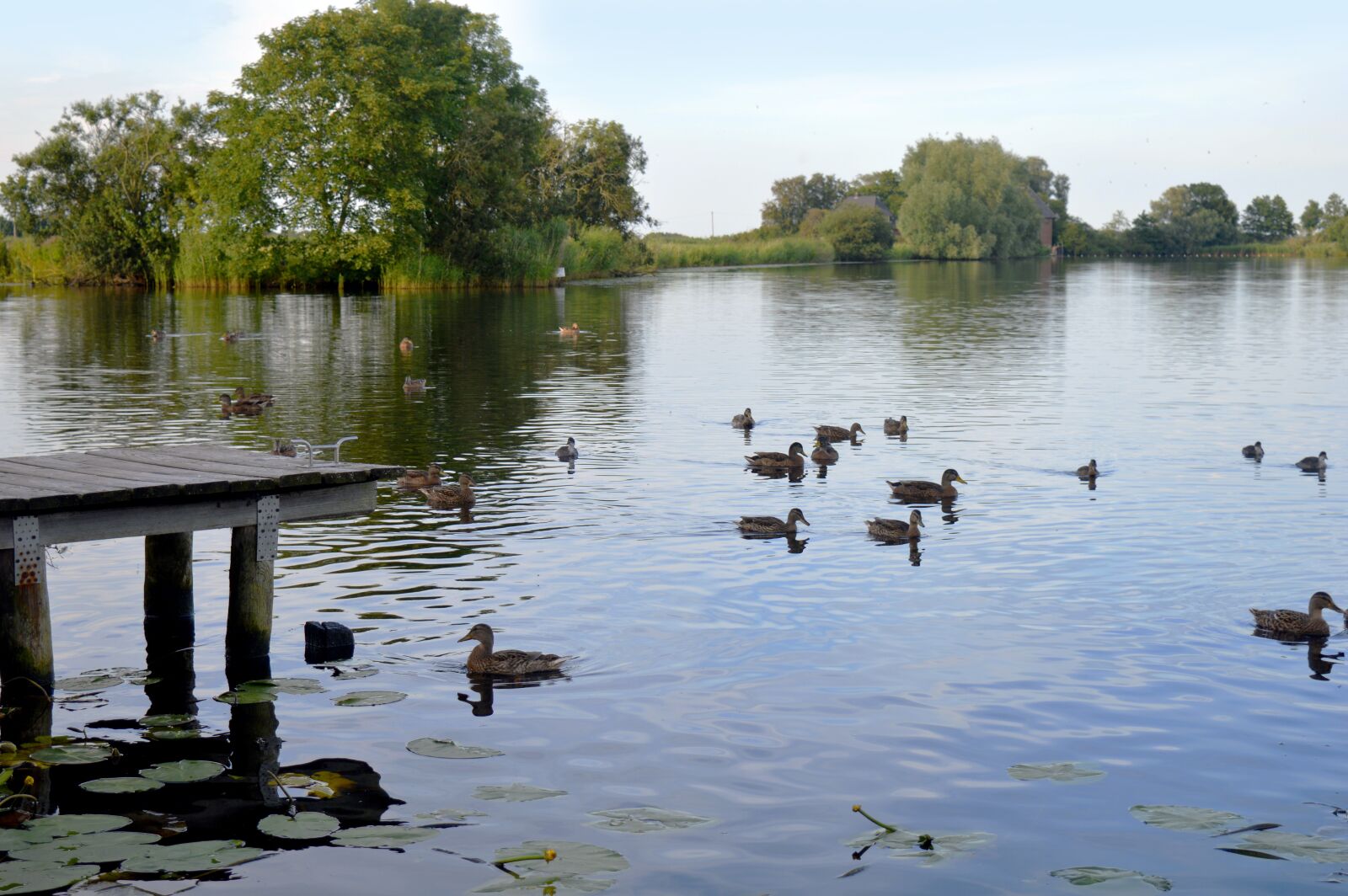 Nikon D3200 sample photo. Eider, schleswig-holstein river, water photography