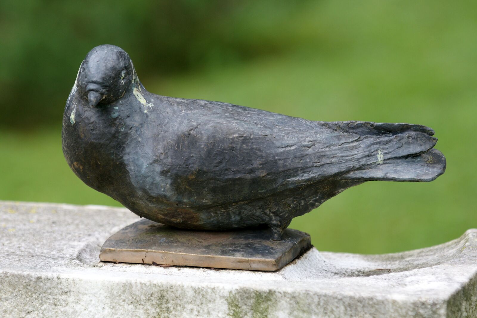 Sony Alpha DSLR-A700 sample photo. Dove, contemplative, figure photography
