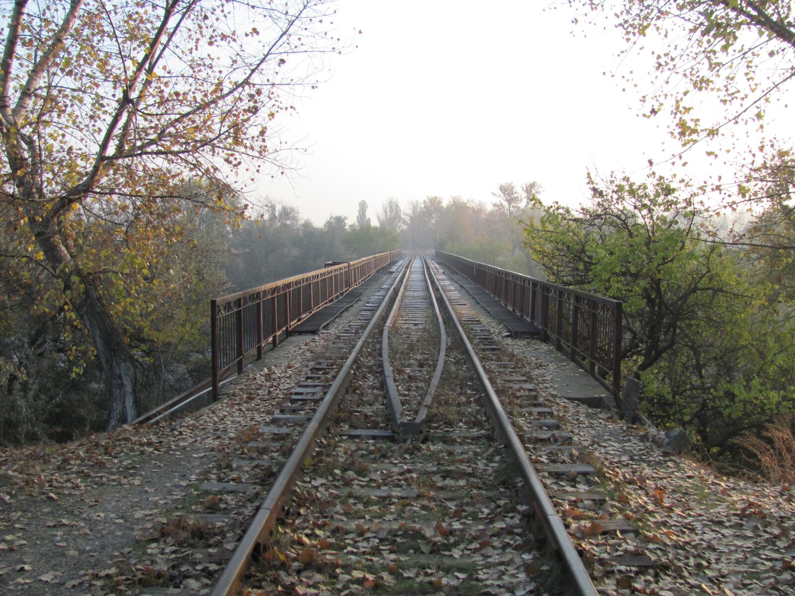 Canon PowerShot SX120 IS sample photo. Bridge, rails, railway photography