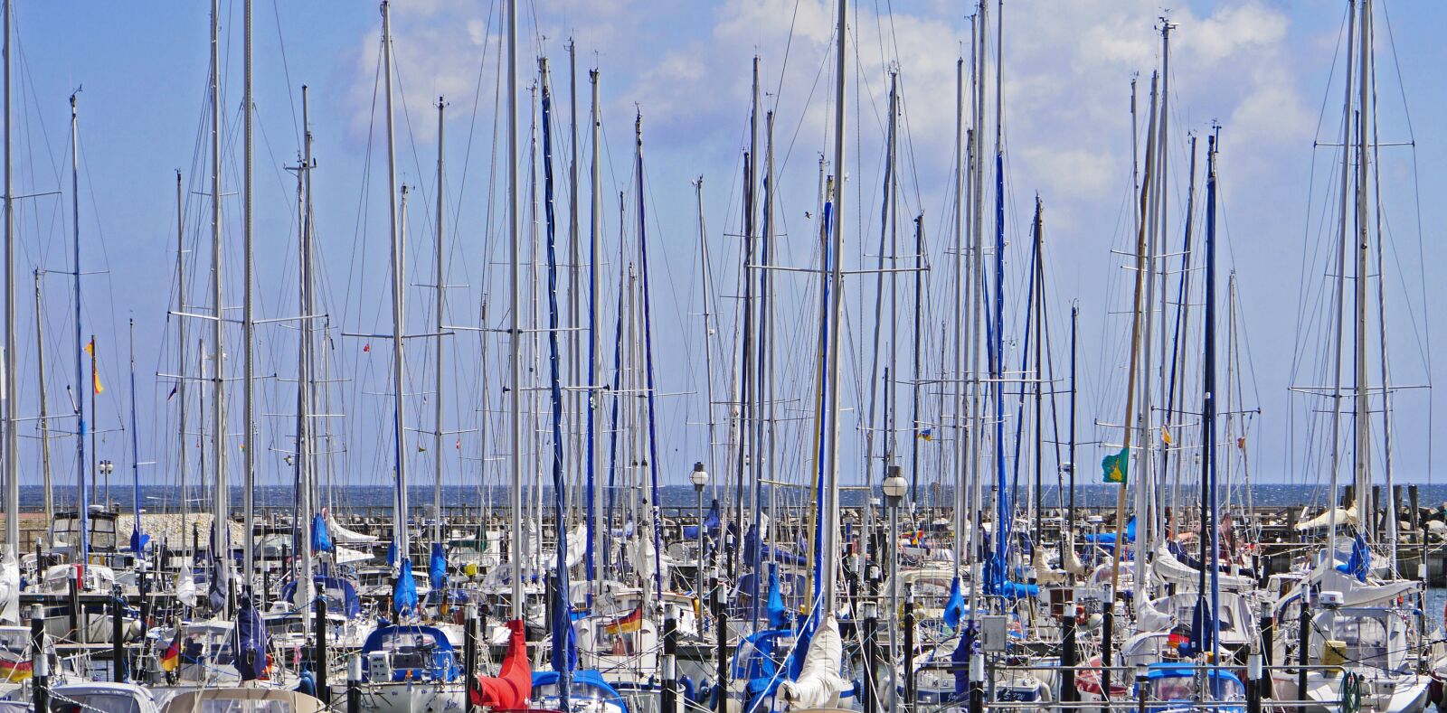 Panasonic Lumix DMC-GH3 sample photo. Mast forest, marina, baltic photography