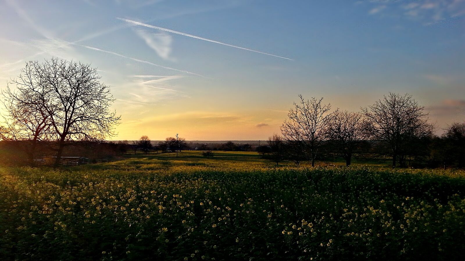 Samsung Galaxy S3 sample photo. Landscape, nature, green photography