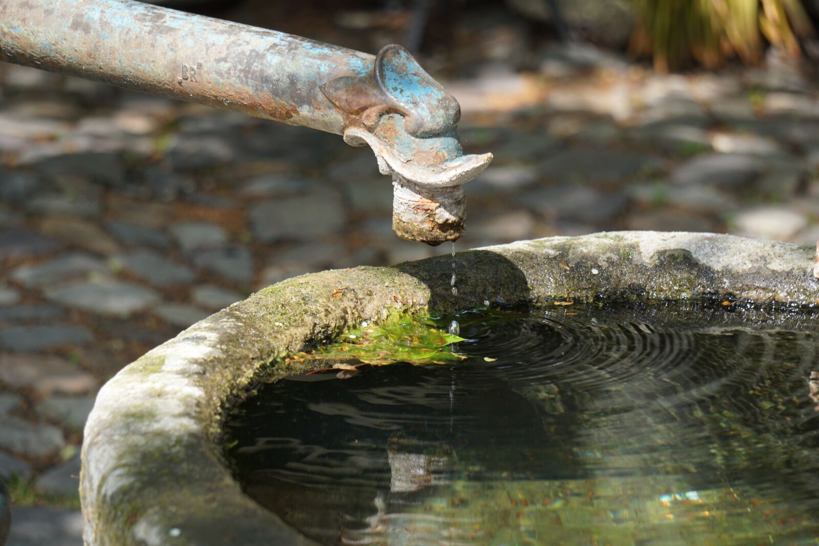 Sony E 55-210mm F4.5-6.3 OSS sample photo. Pump, drip, faucet photography