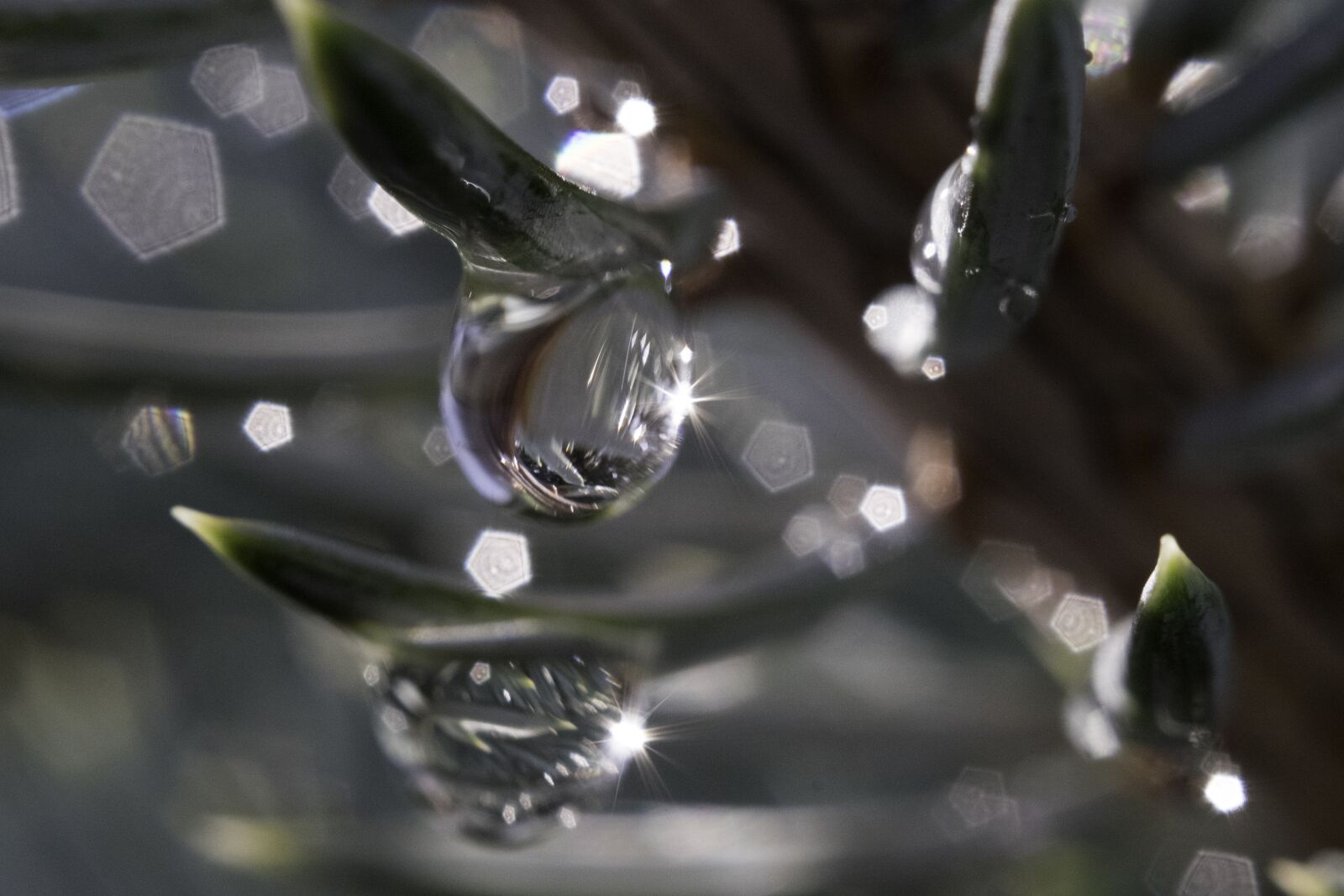 Fujifilm X-E2 sample photo. Drop, h2o, nature photography