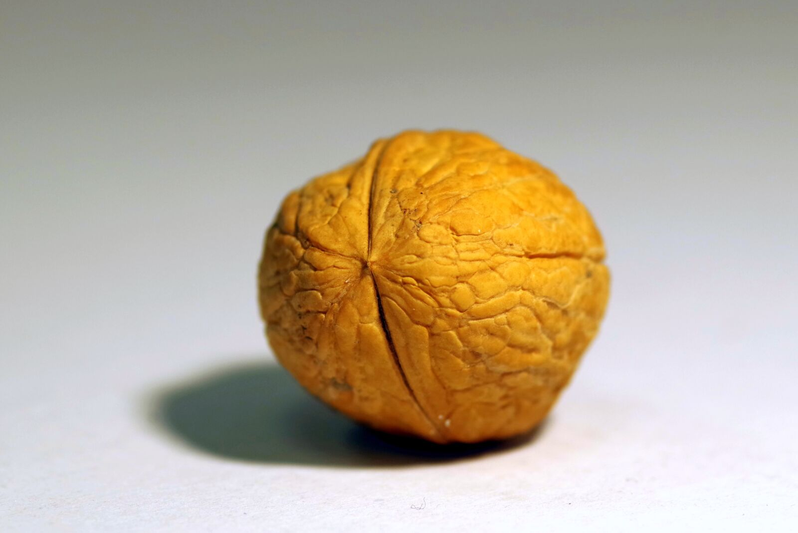 Pentax K-S2 sample photo. Walnut, italian, cane photography