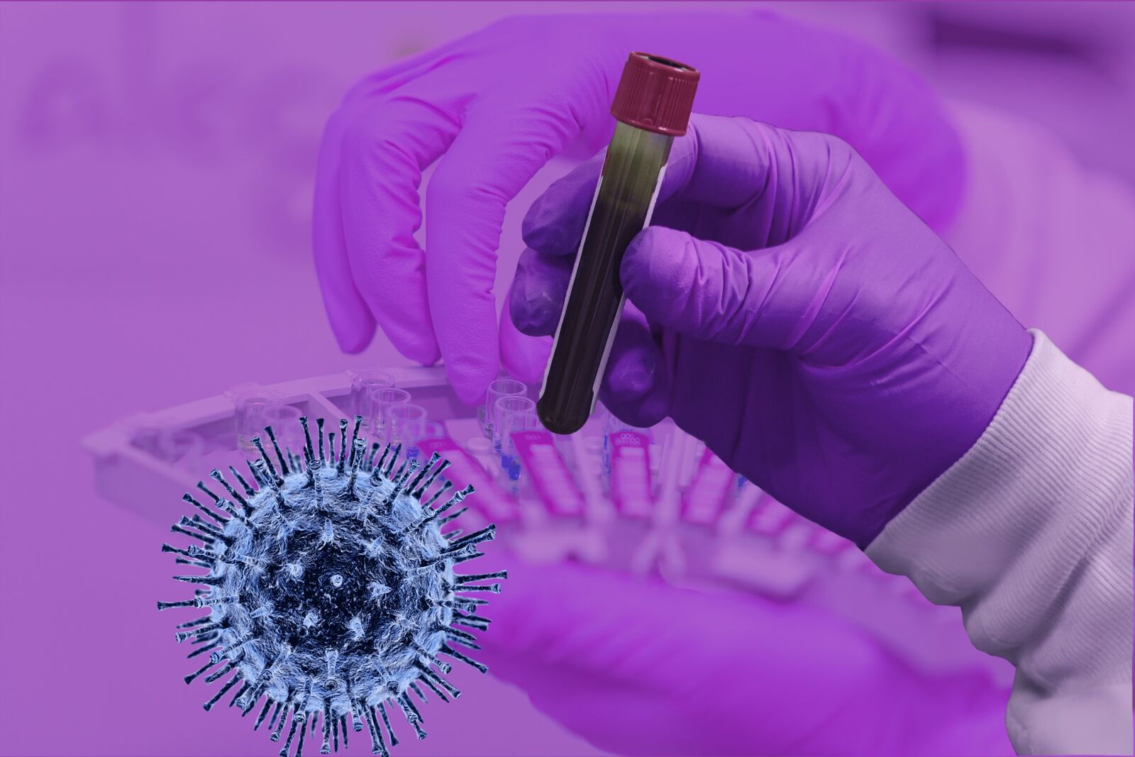 Nikon D3400 sample photo. Covid-19, coronavirus, epidemic photography