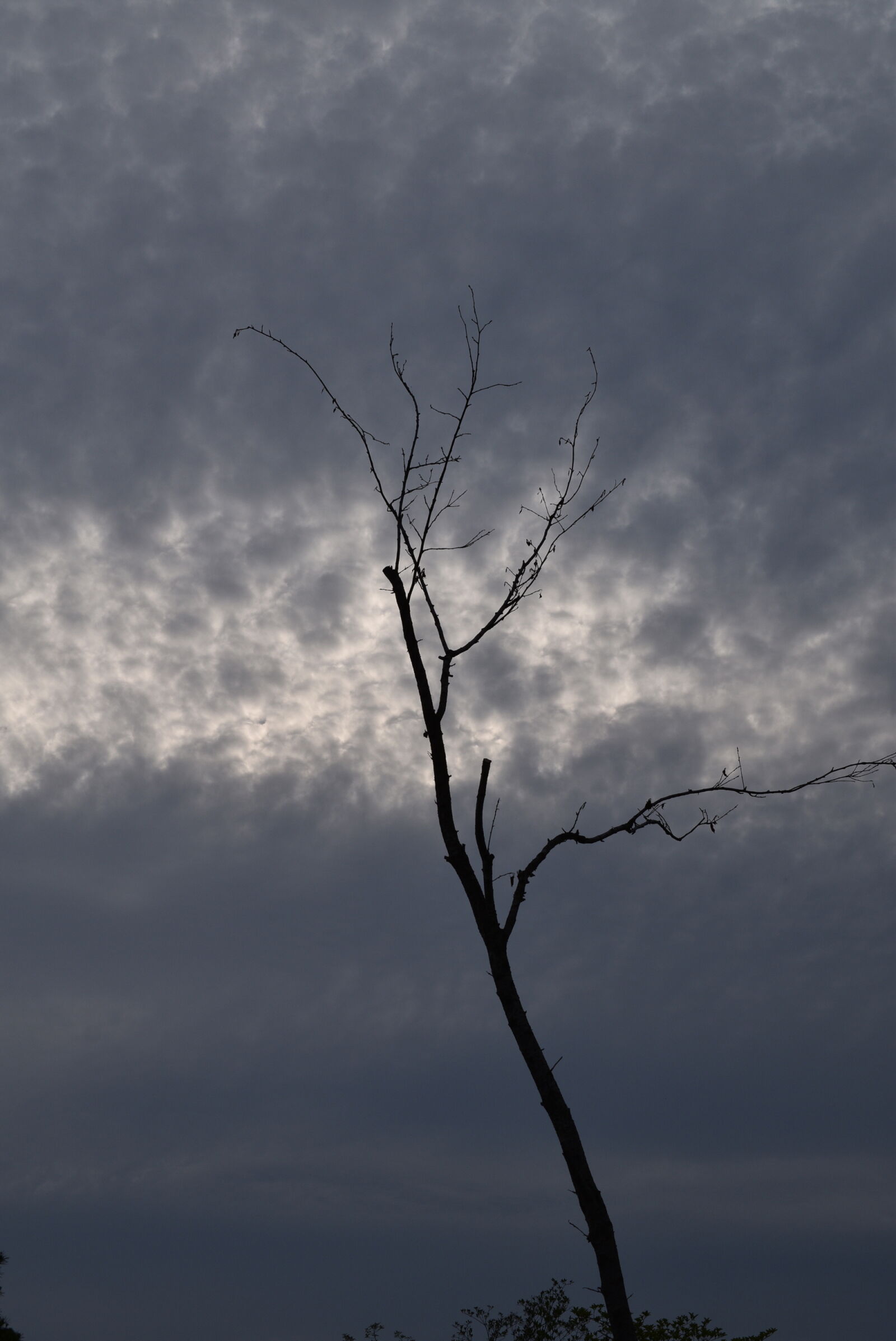 Nikon D5300 sample photo