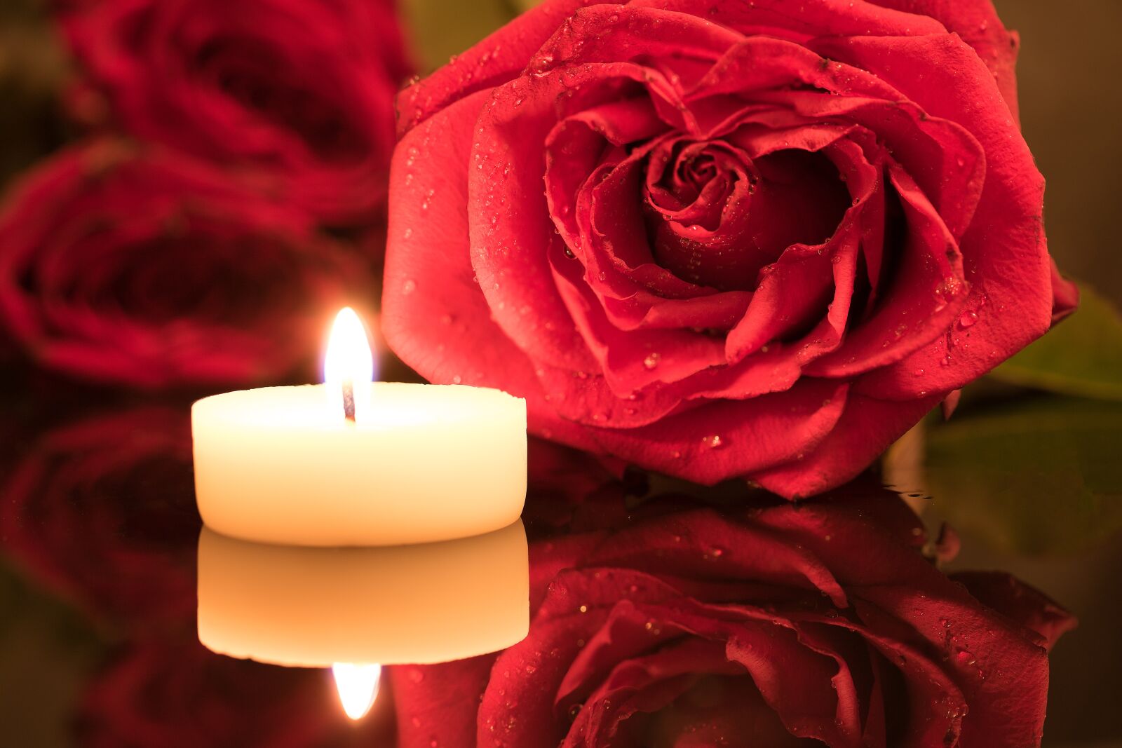 Canon EF-S 60mm F2.8 Macro USM sample photo. Candle, red rose, candlelight photography