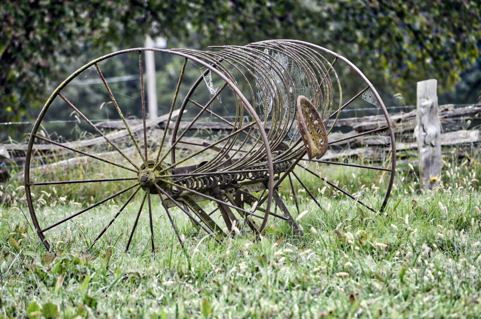 Nikon D7000 sample photo. Hay rake, vintage equipment photography