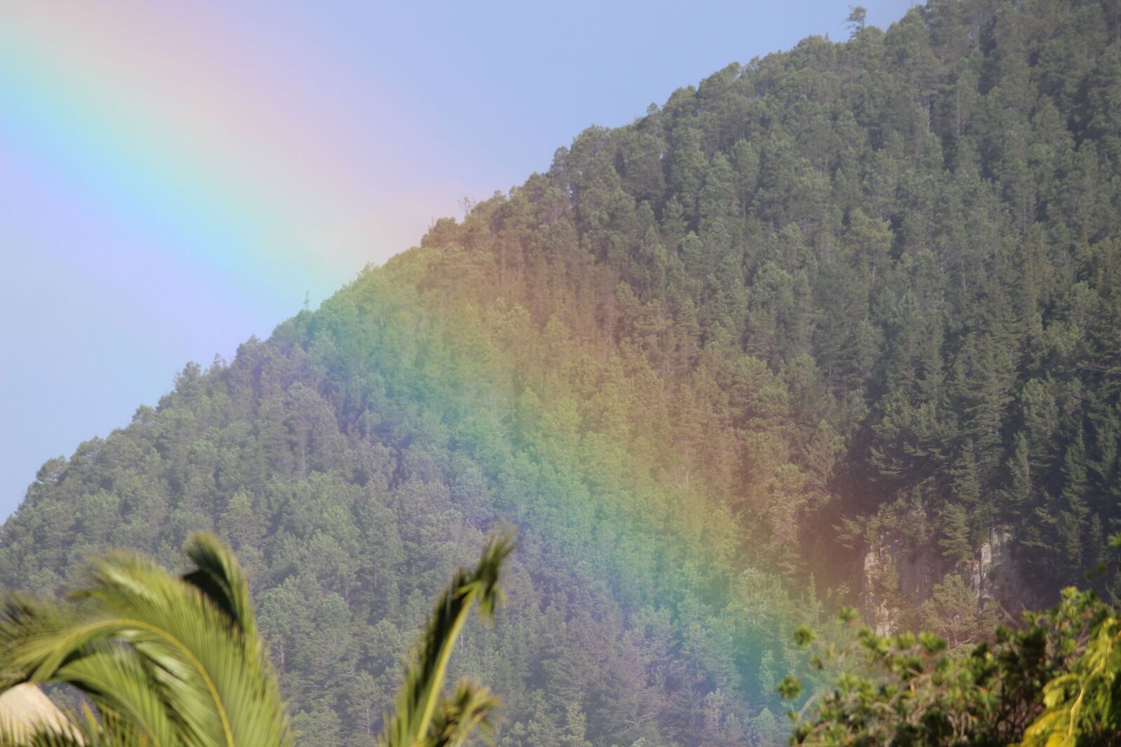 Canon EOS 600D (Rebel EOS T3i / EOS Kiss X5) sample photo. Rainbow, nature, bright photography
