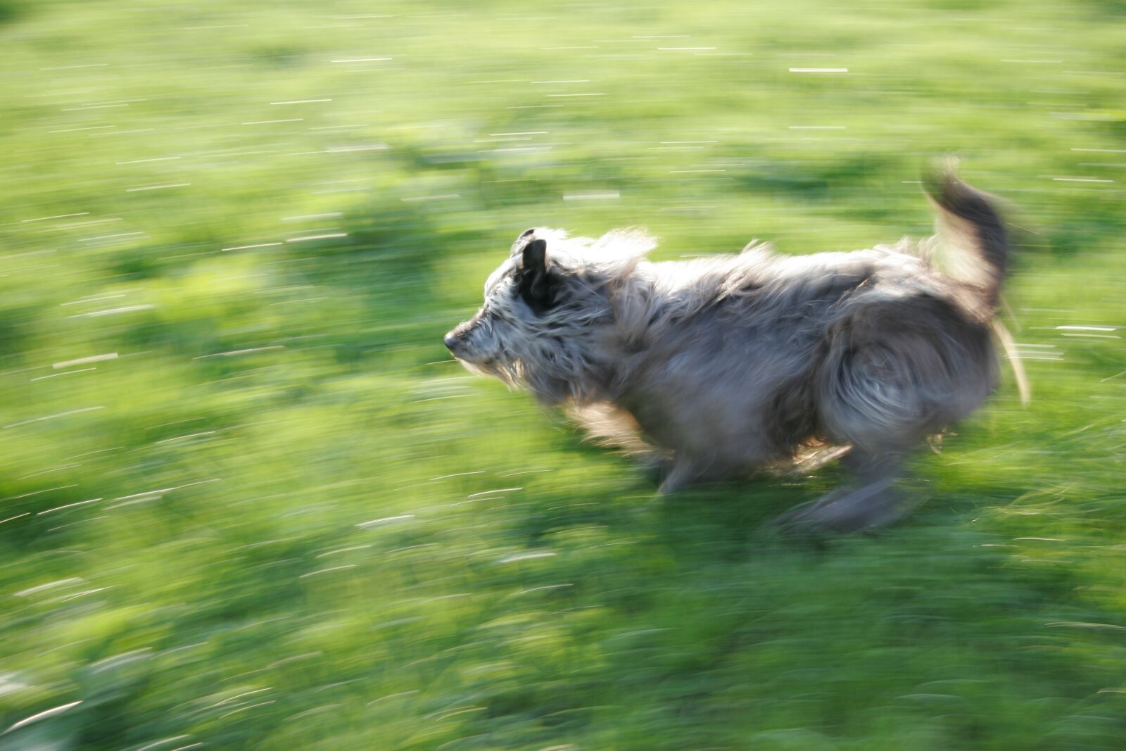 Canon EOS 20D sample photo. Speed, out of focus photography