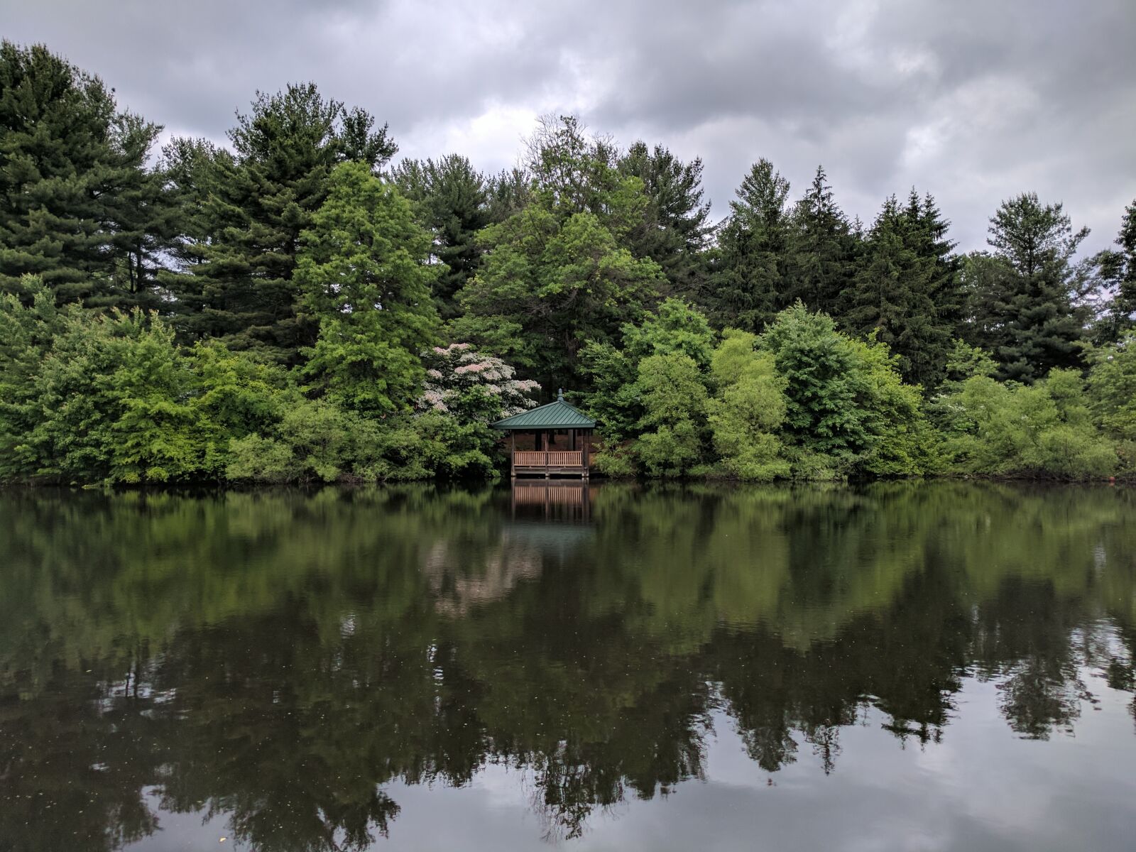 Google Pixel sample photo. Pond, trees, outdoors photography