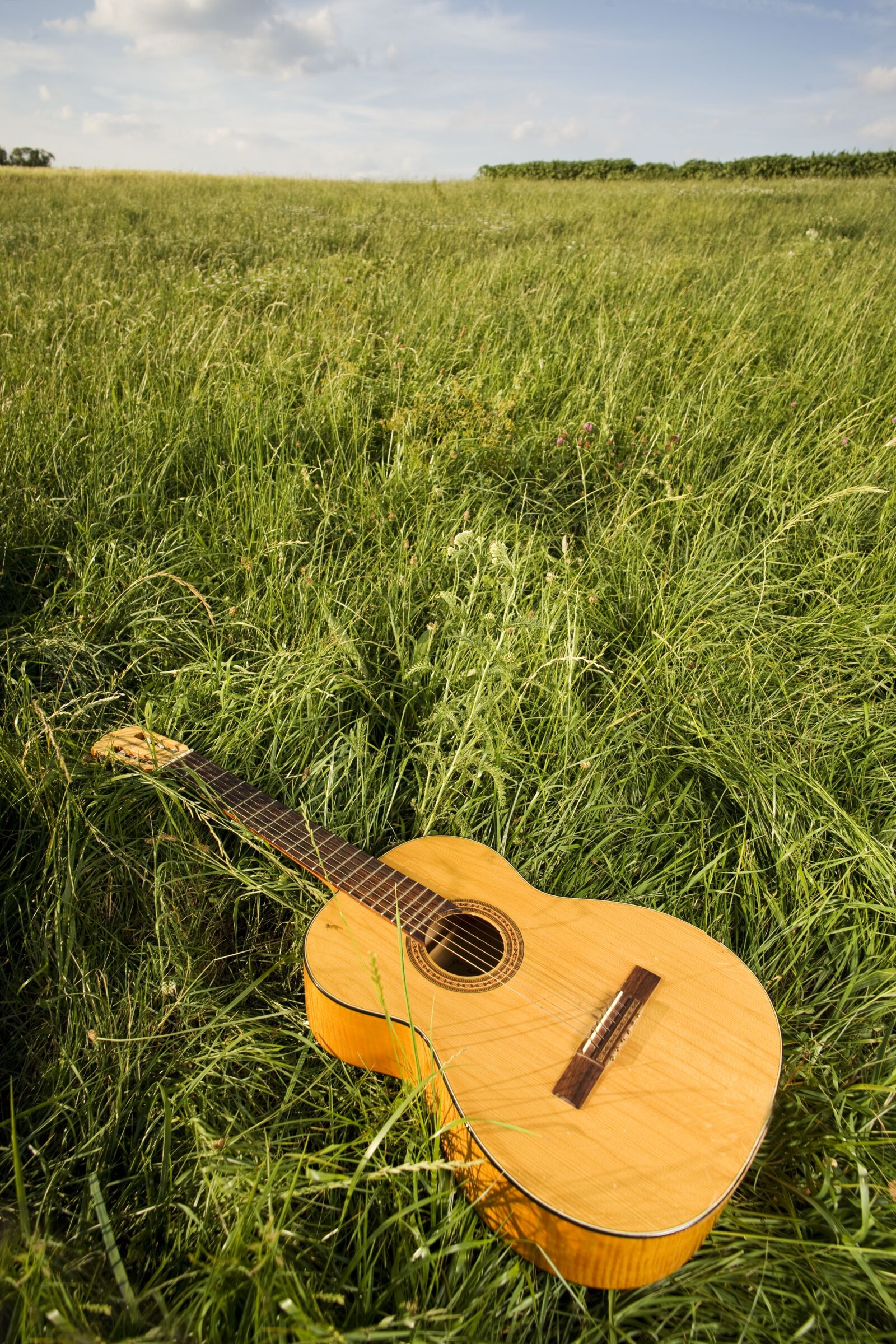 Canon EOS-1Ds Mark III sample photo. Guitar, classical guitar, musical photography