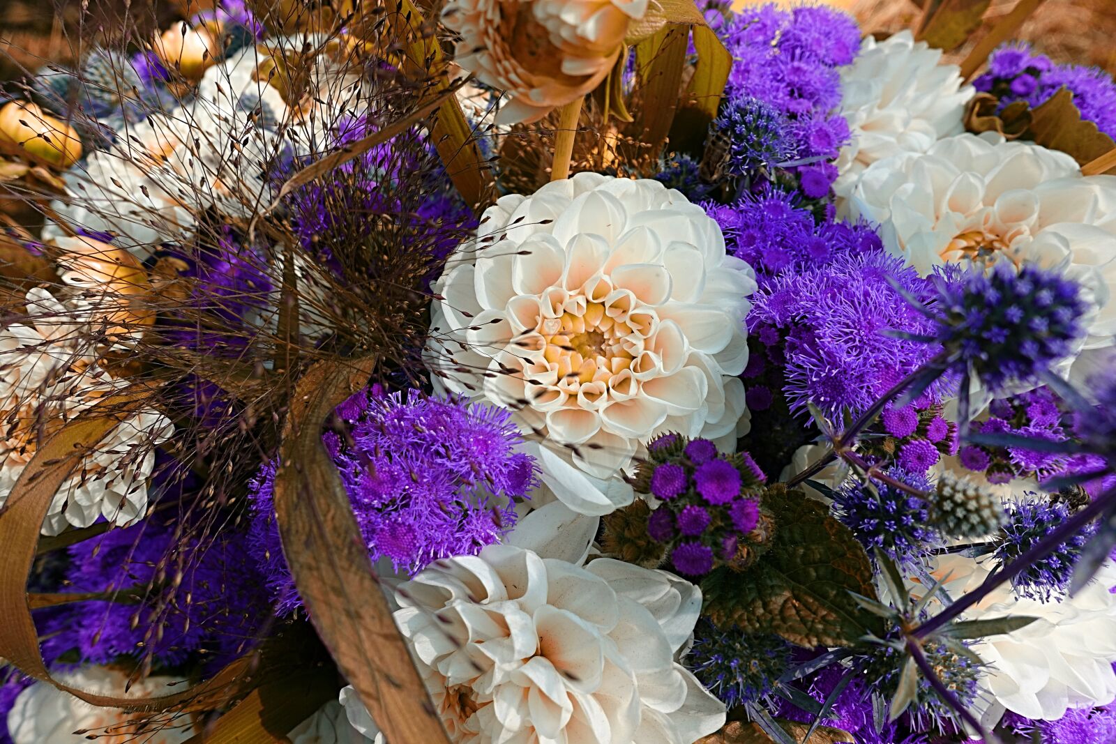 Sony DSC-RX100M5 sample photo. Dahlia, summer flowers, colorful photography