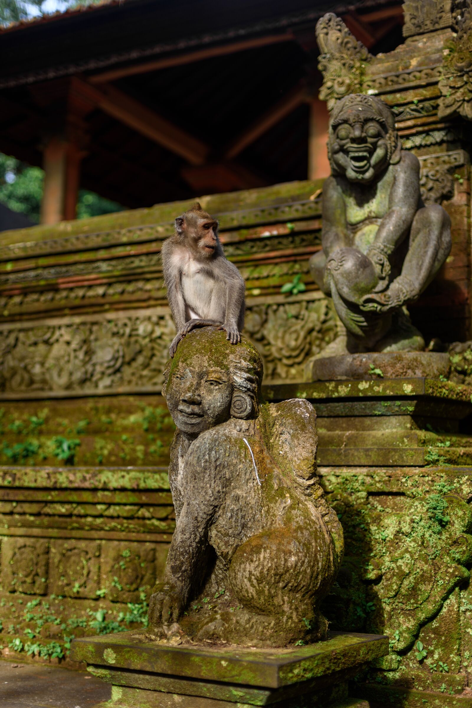 Nikon D750 sample photo. Indonesia, bali, park photography