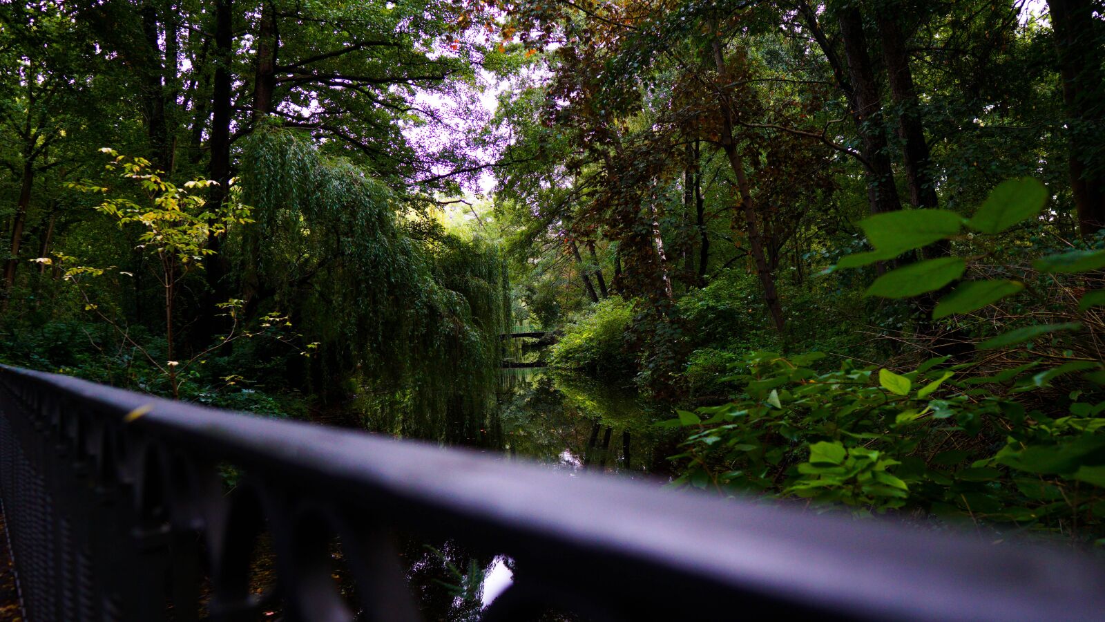 Sony a6000 + Sigma 16mm F1.4 DC DN | C sample photo. Tiergarten, zoological garden, fence photography