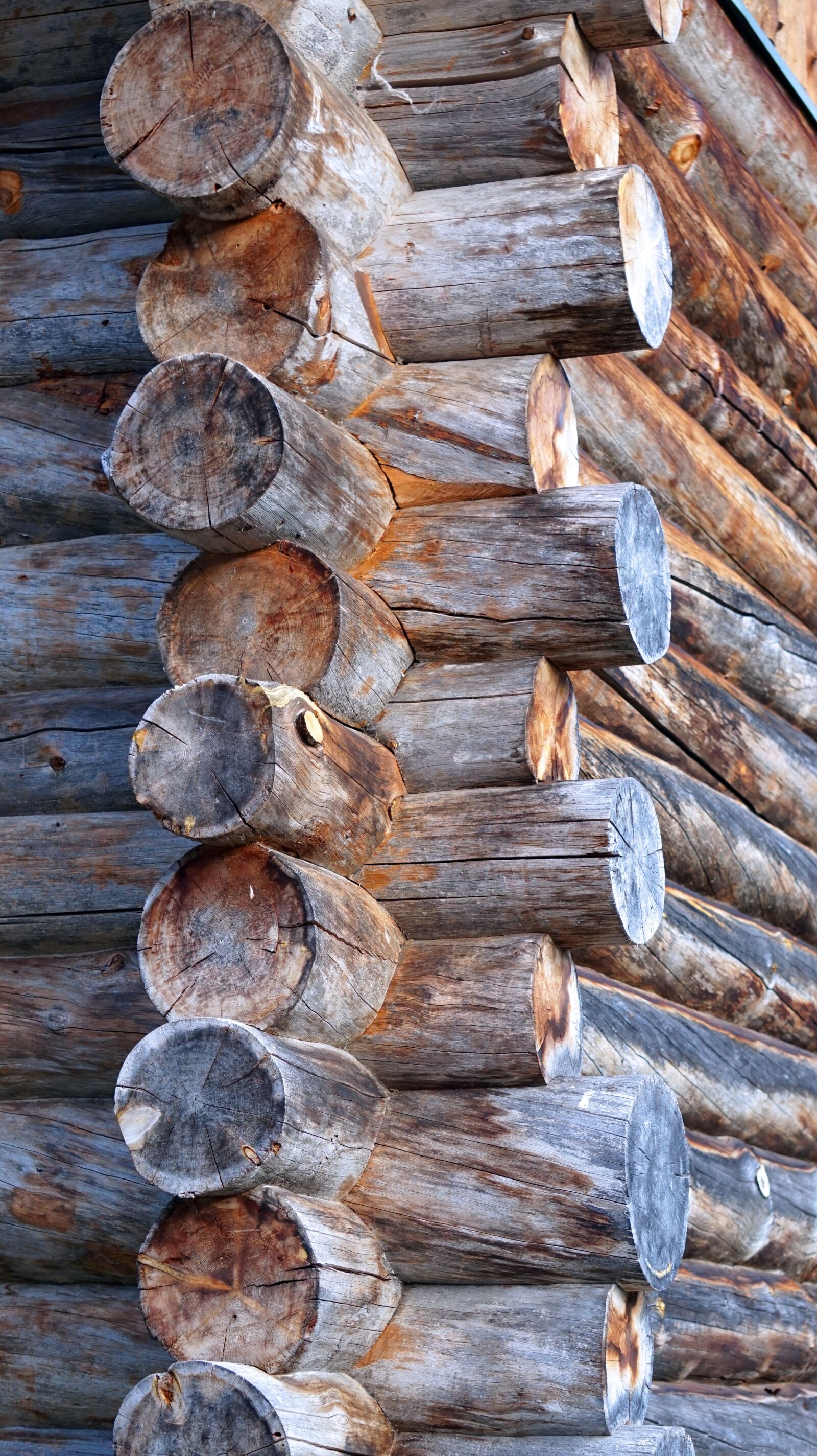 Sony Alpha a5000 (ILCE 5000) + Sony E 55-210mm F4.5-6.3 OSS sample photo. Wood, block house, rustic photography