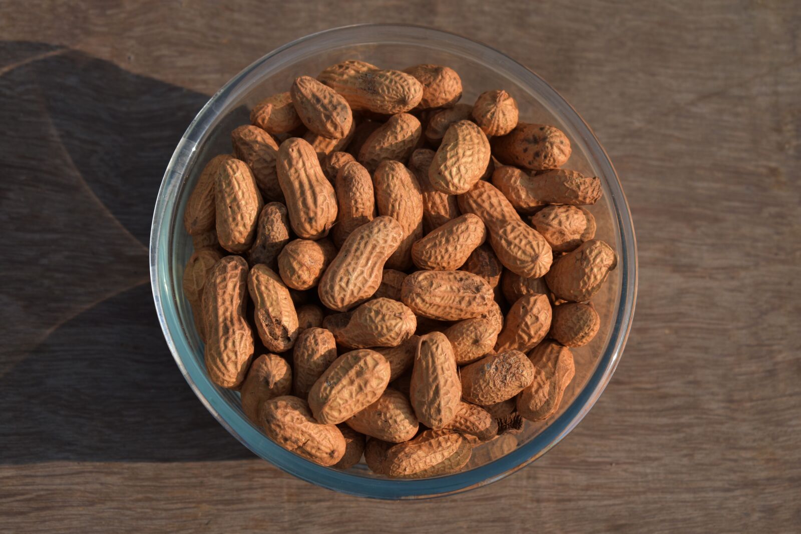 Nikon D5600 sample photo. Food, refreshment, seed photography