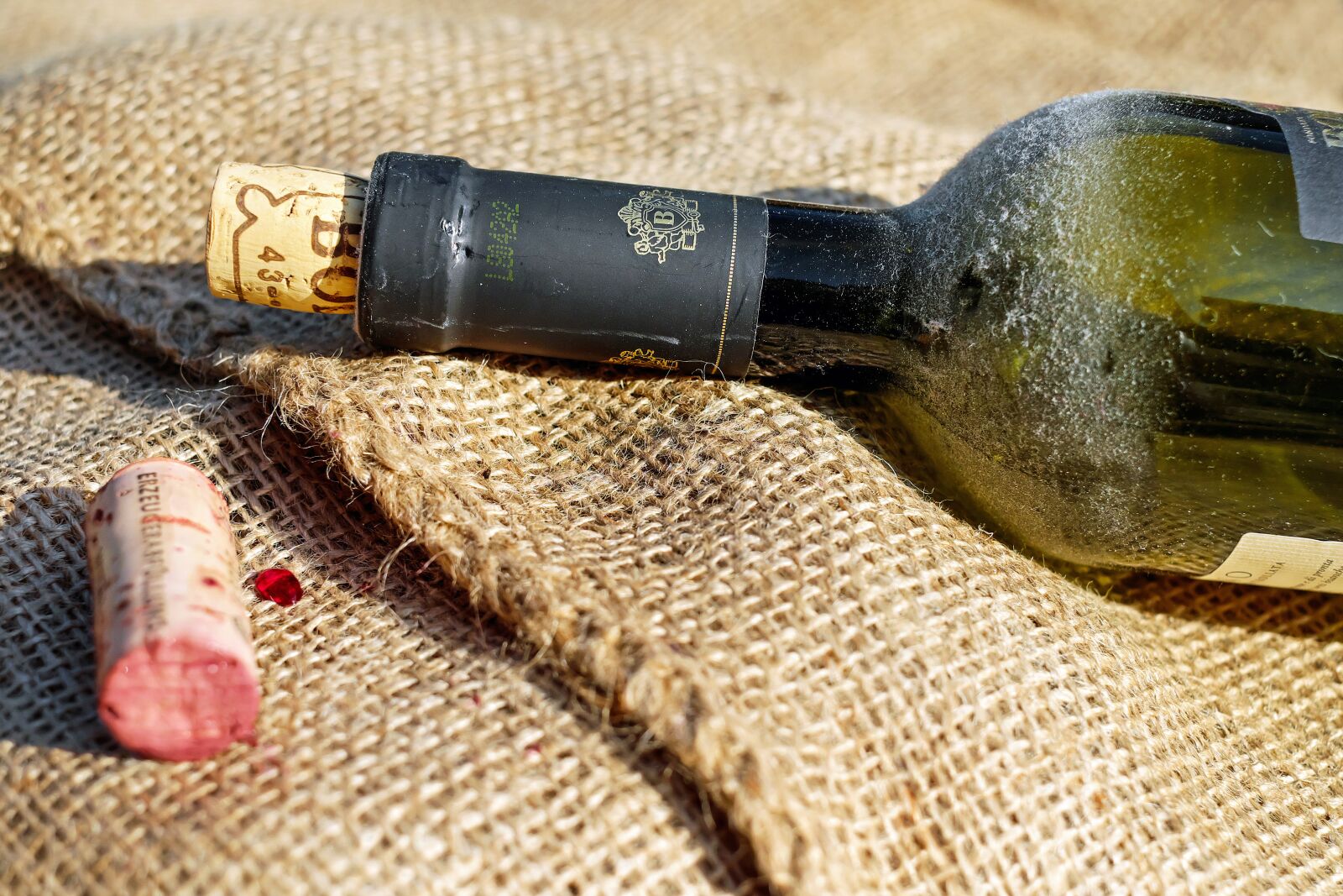 Fujifilm X-T10 + Fujifilm XF 35mm F1.4 R sample photo. Wine, wine bottle, old photography
