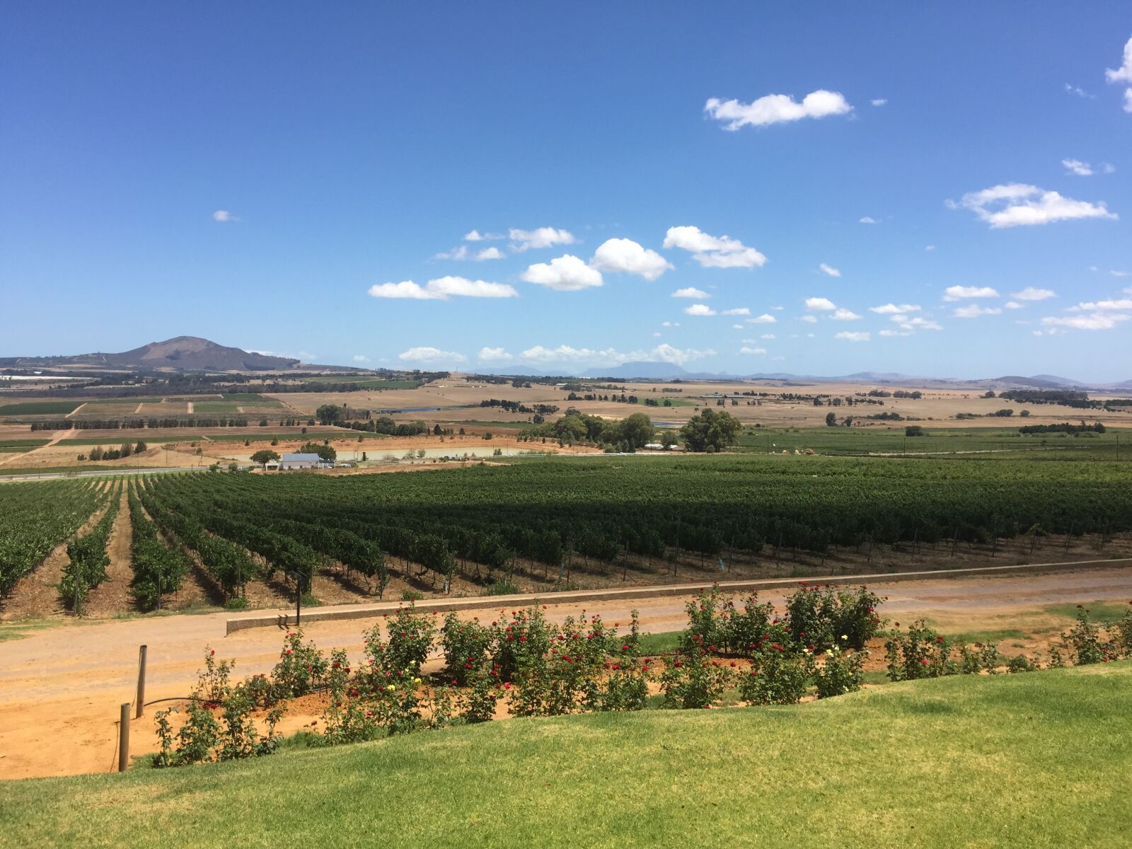 iPhone 6 Plus back camera 4.15mm f/2.2 sample photo. Cape, winelands, open, sky photography