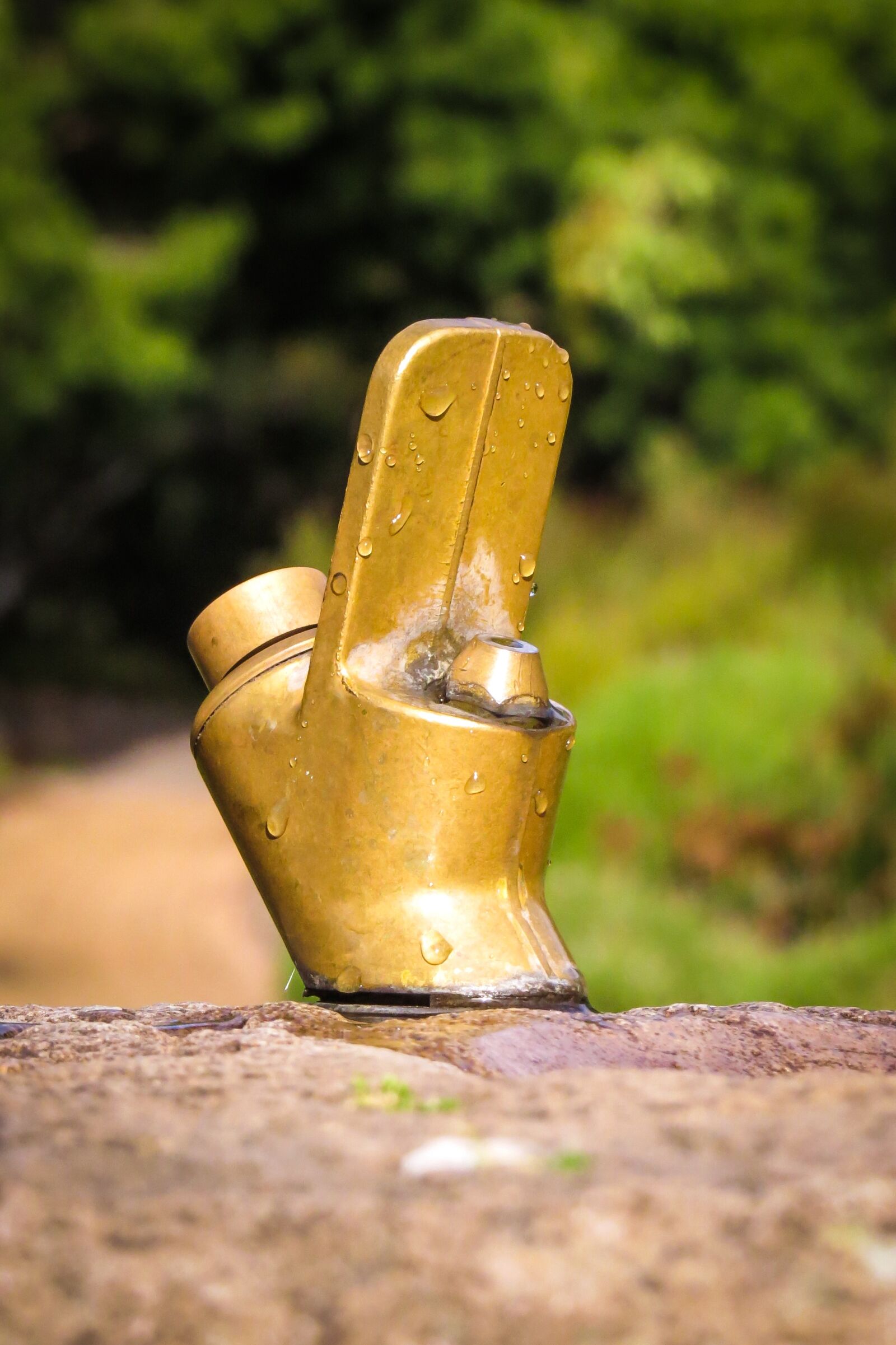 Canon PowerShot SX50 HS sample photo. Drinking fountain, brass, kistenbosch photography