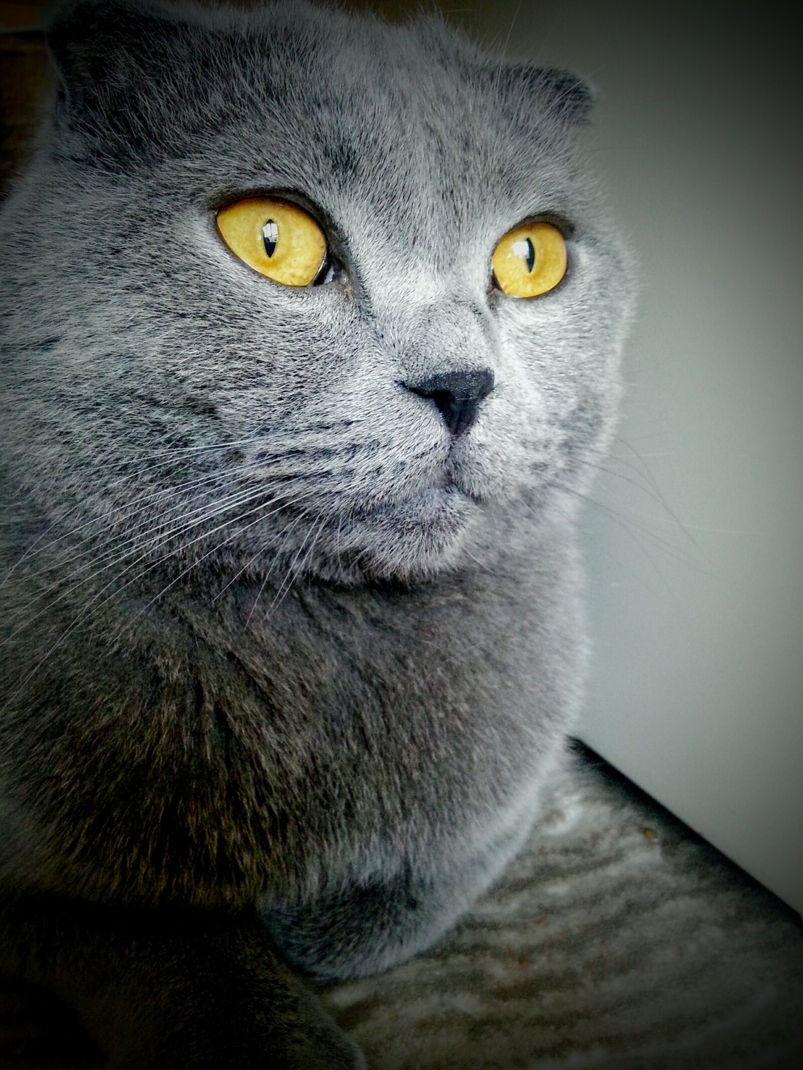 Samsung Galaxy Note2 sample photo. Swore, and, eternal photography