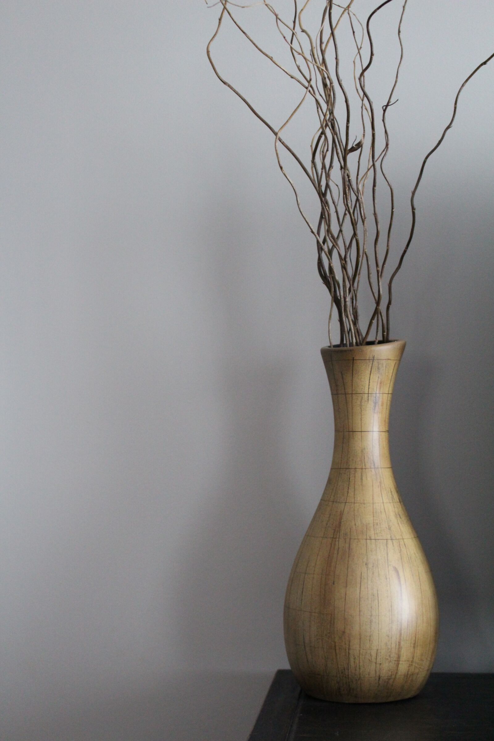 Canon EOS 100D (EOS Rebel SL1 / EOS Kiss X7) sample photo. Vase, decoration, house photography
