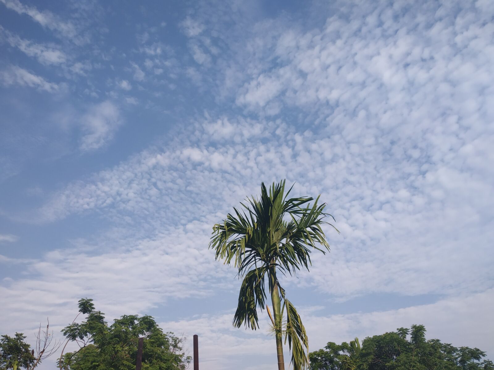 Xiaomi Redmi Note 5 Pro sample photo. Sky, blue color sky photography