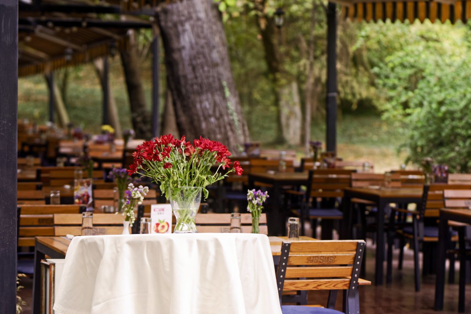 Nikon D5300 sample photo. Terrace, restaurant, the tables photography
