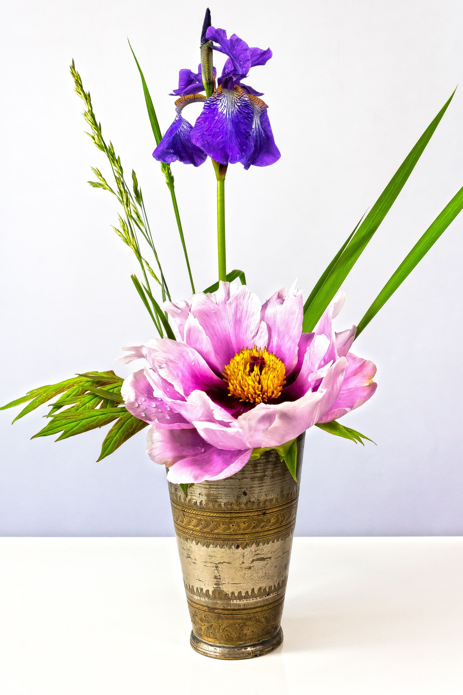 Canon EOS 1300D (EOS Rebel T6 / EOS Kiss X80) sample photo. Iris, violet, dwarf lily photography