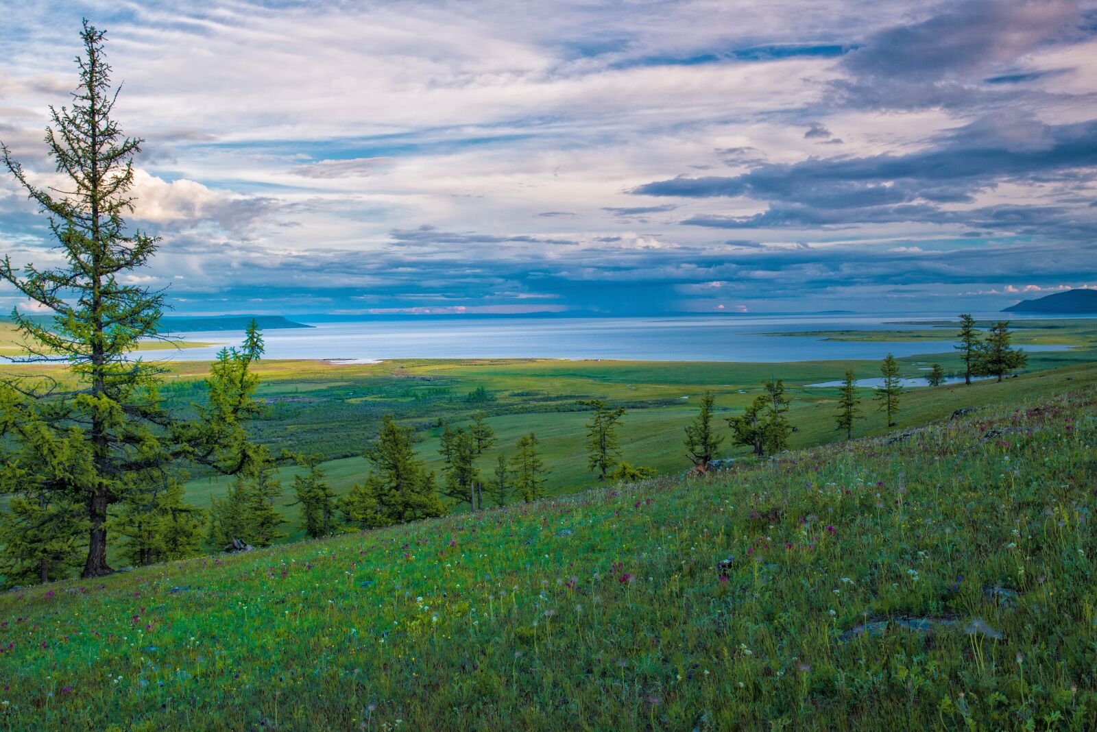 Nikon D800E sample photo. Landscape, cable programming in photography