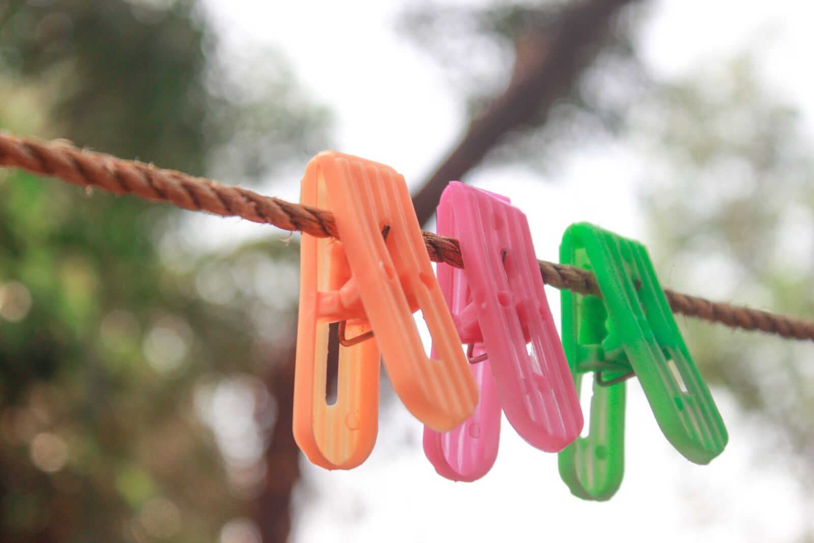 Canon EOS 600D (Rebel EOS T3i / EOS Kiss X5) sample photo. Clothespin, clothes-peg, cloth clipper photography