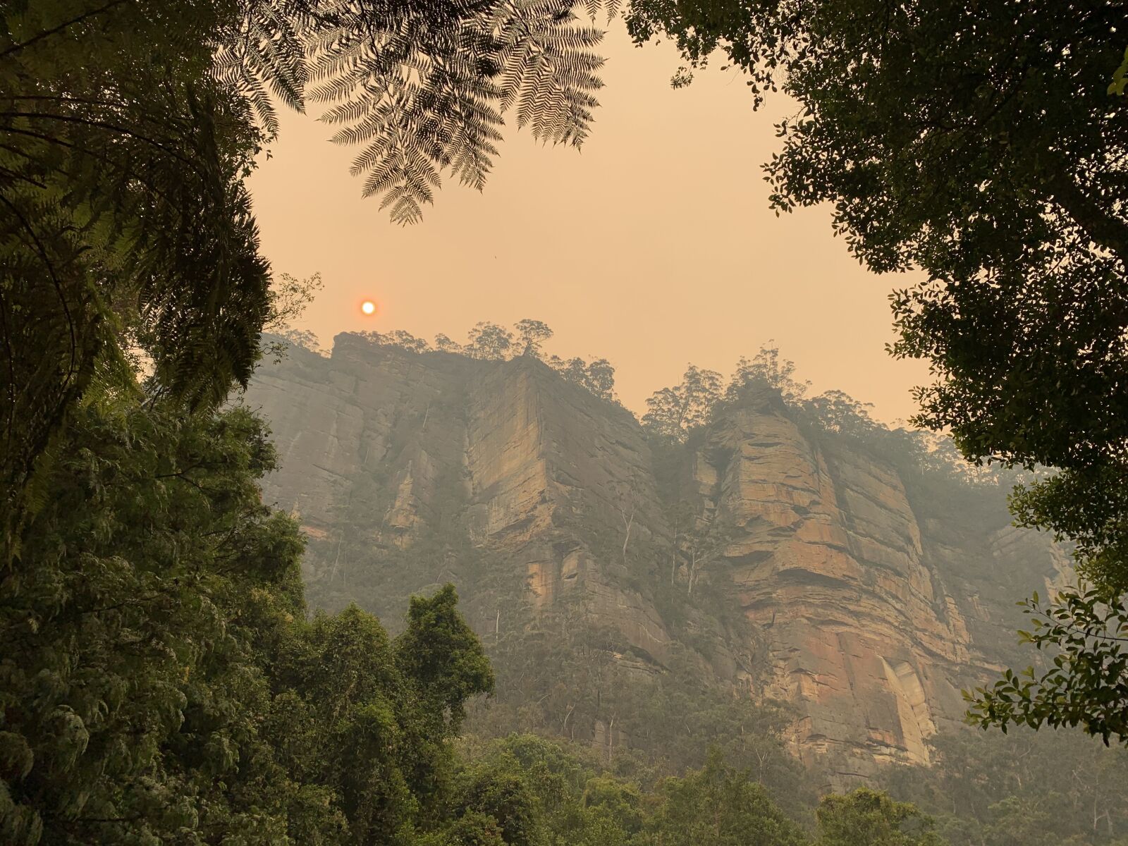 Apple iPhone XS sample photo. Sun, pollution, bush fire photography