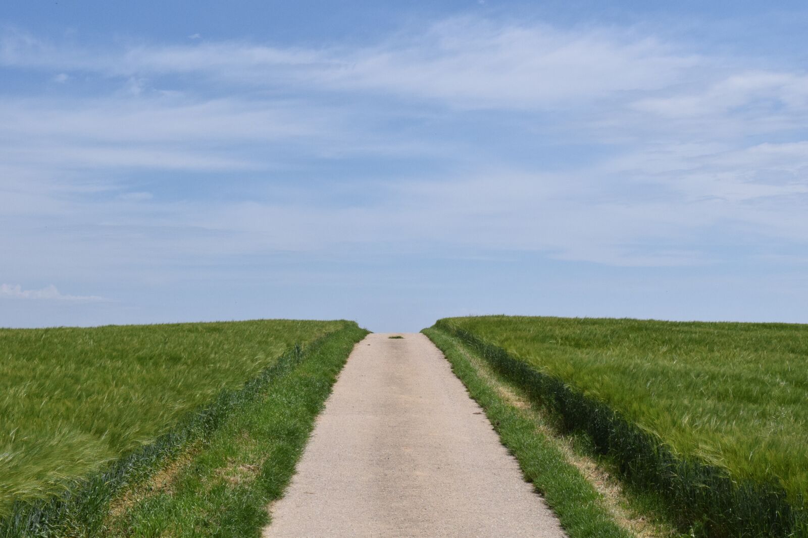 Nikon D3300 sample photo. Away, road, landscape photography
