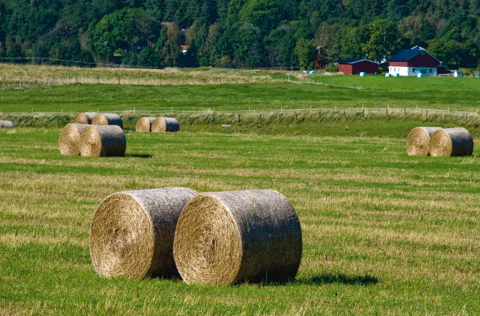Nikon D80 sample photo. Farmhouse, rural, nature photography