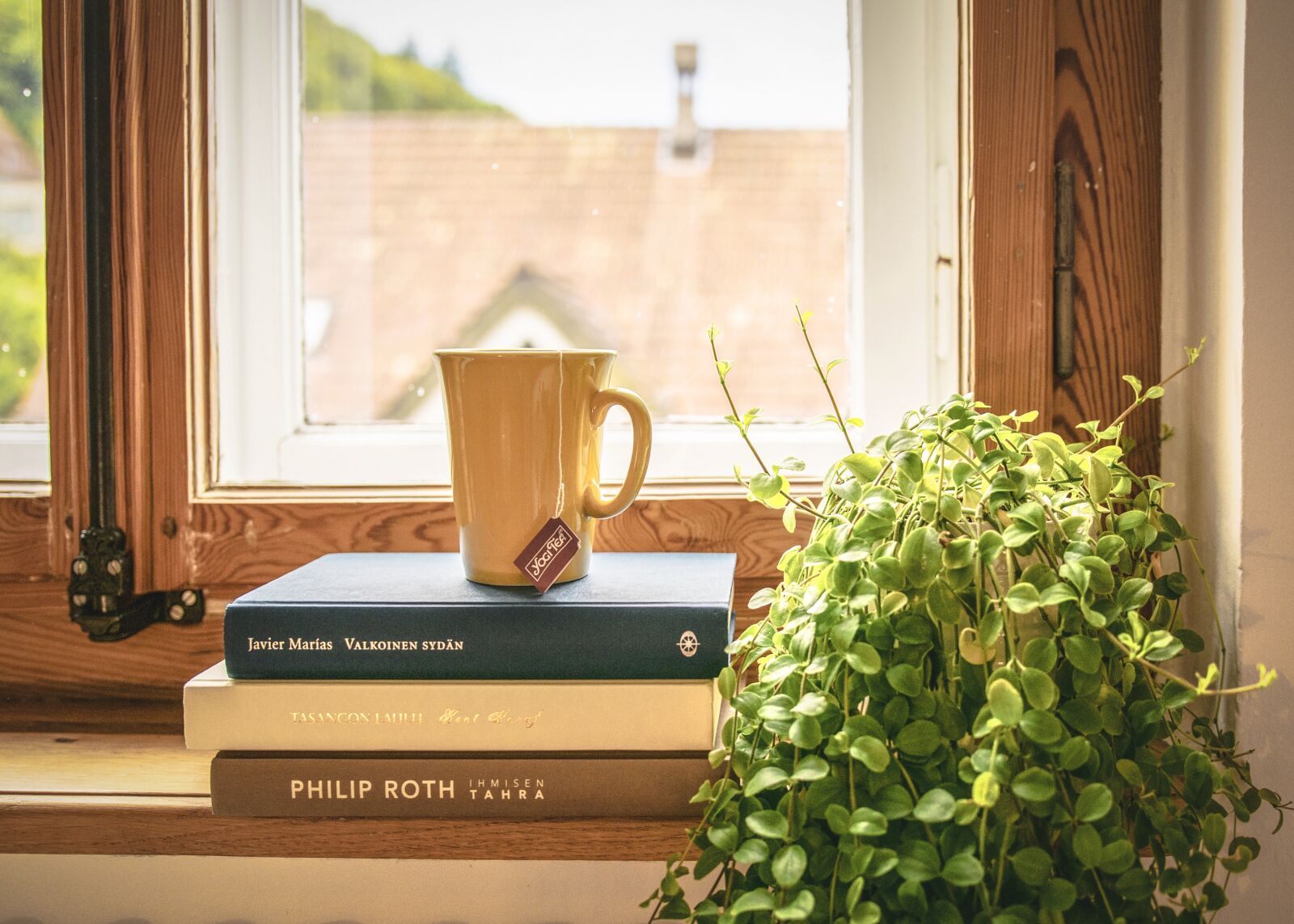 Nikon D5300 sample photo. Book, read, tee photography