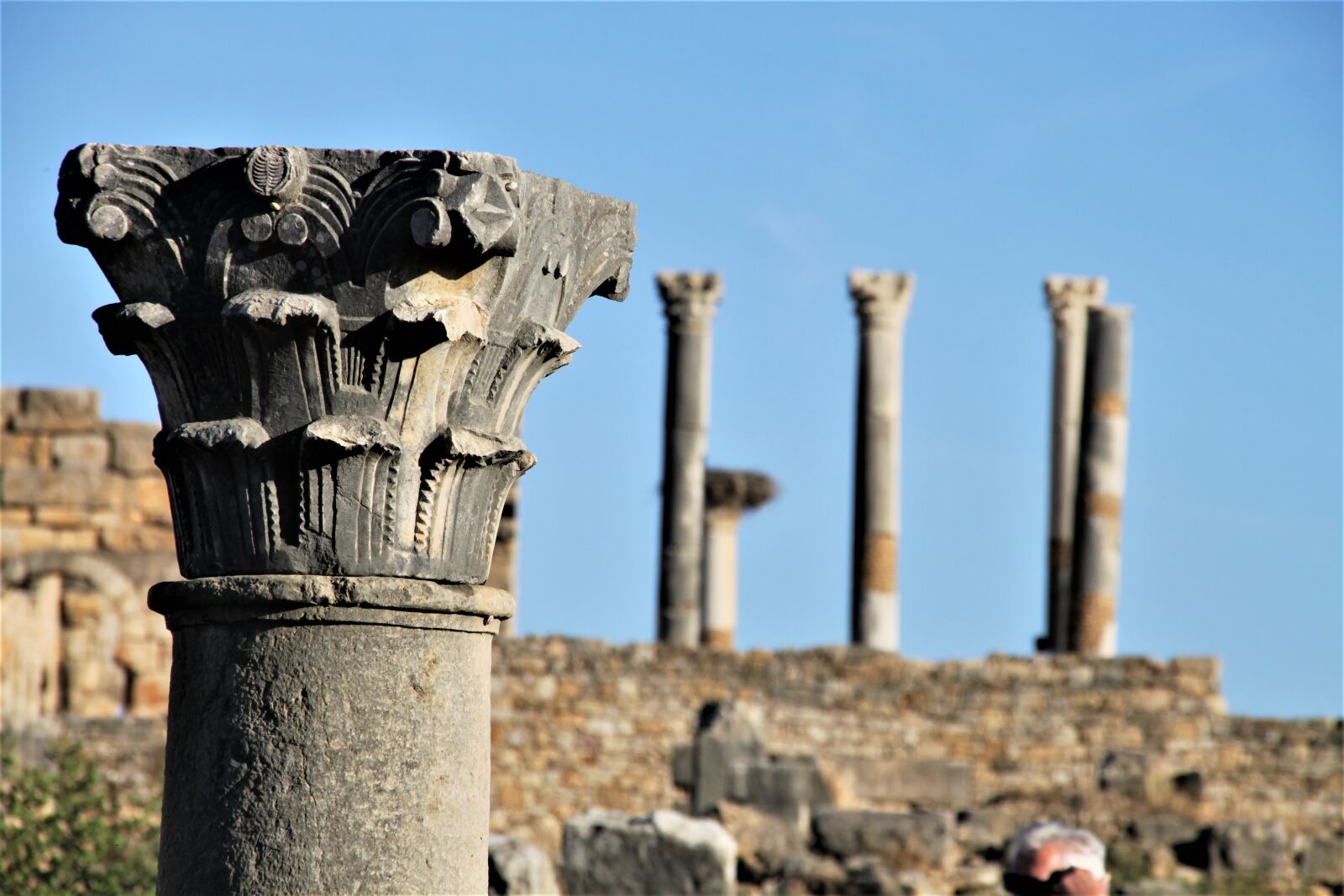 Canon EOS 500D (EOS Rebel T1i / EOS Kiss X3) sample photo. Antique, pillar, columnar photography