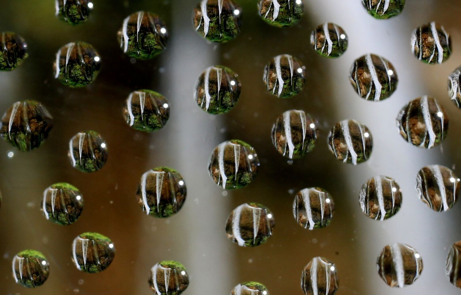 Canon EF-S 60mm F2.8 Macro USM sample photo. Drops, water, cascada photography