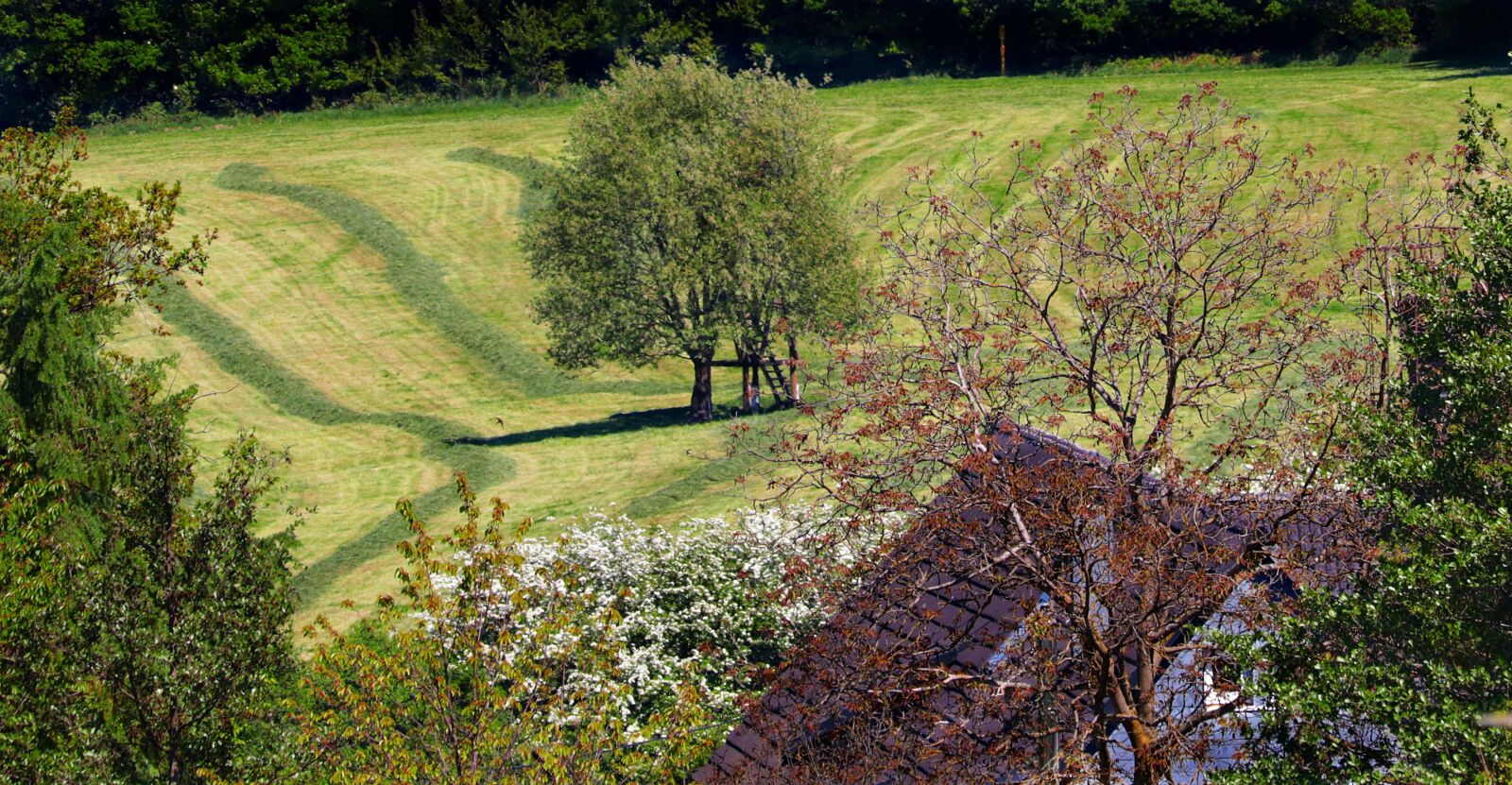 Canon EF-S 55-250mm F4-5.6 IS STM sample photo. Landscape, idyllic, nature photography